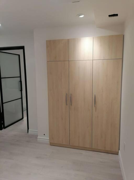 New modern basement in Milton