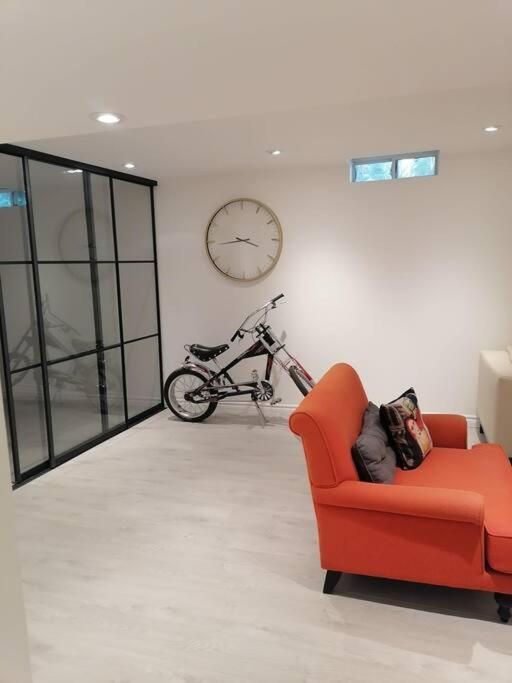 New modern basement in Milton