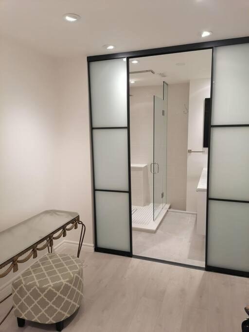 New modern basement in Milton