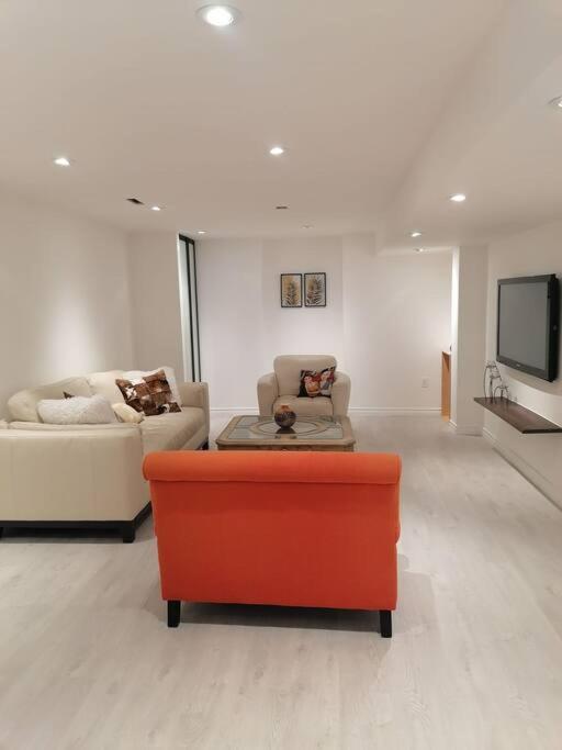 New modern basement in Milton