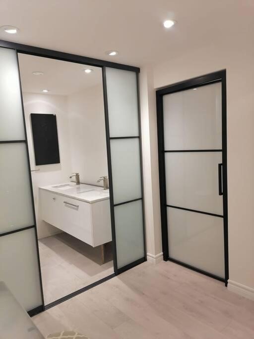 New modern basement in Milton