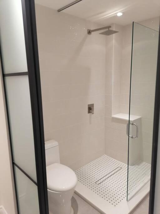 New modern basement in Milton