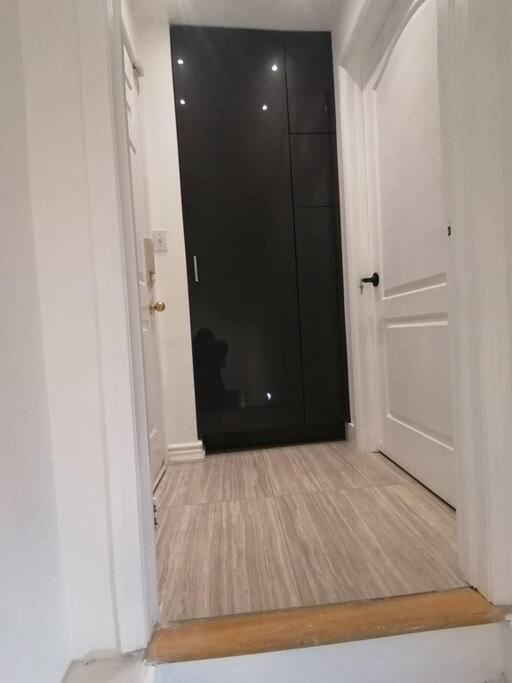 New modern basement in Milton