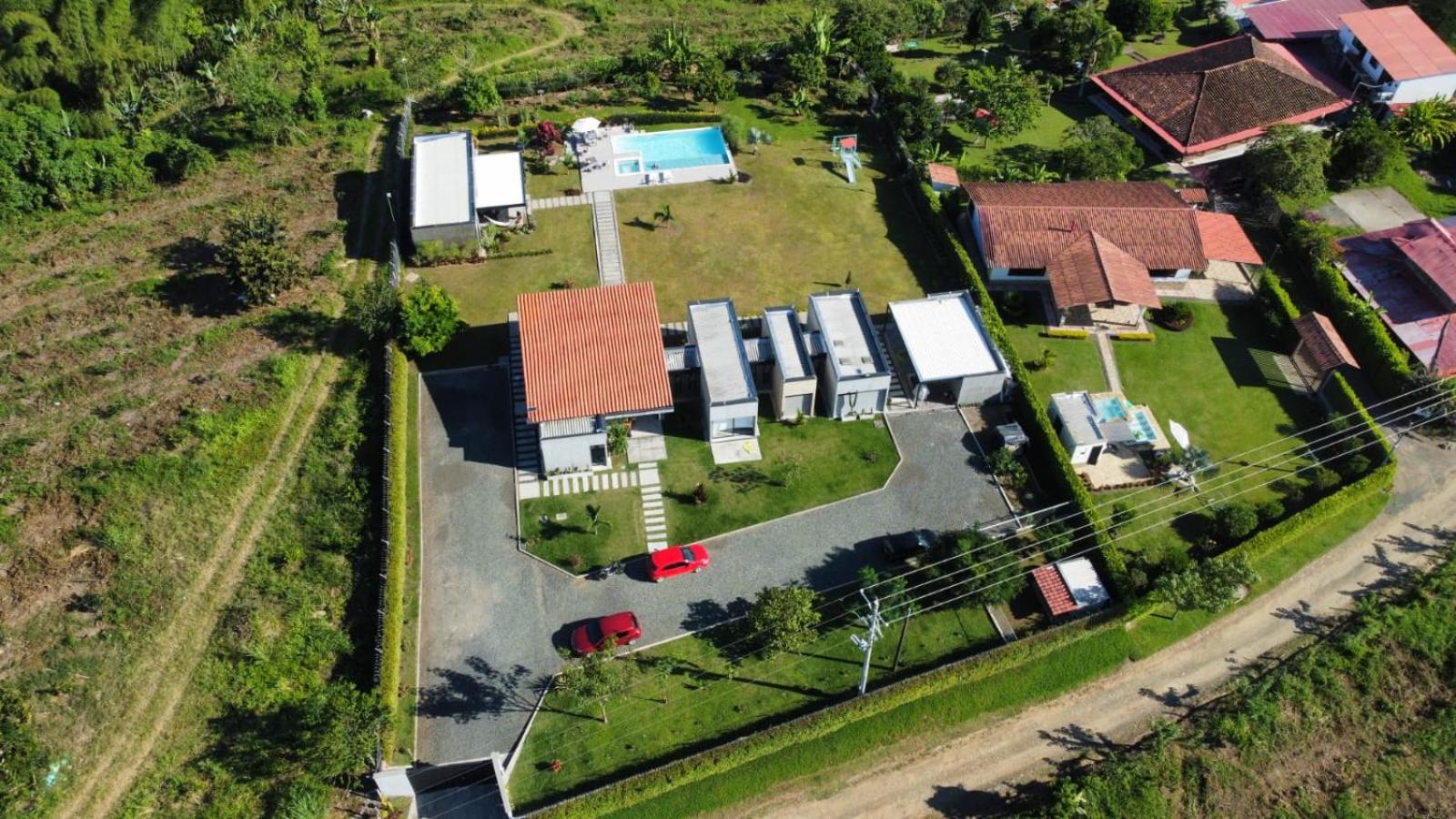 Torcaza Casa de Campo