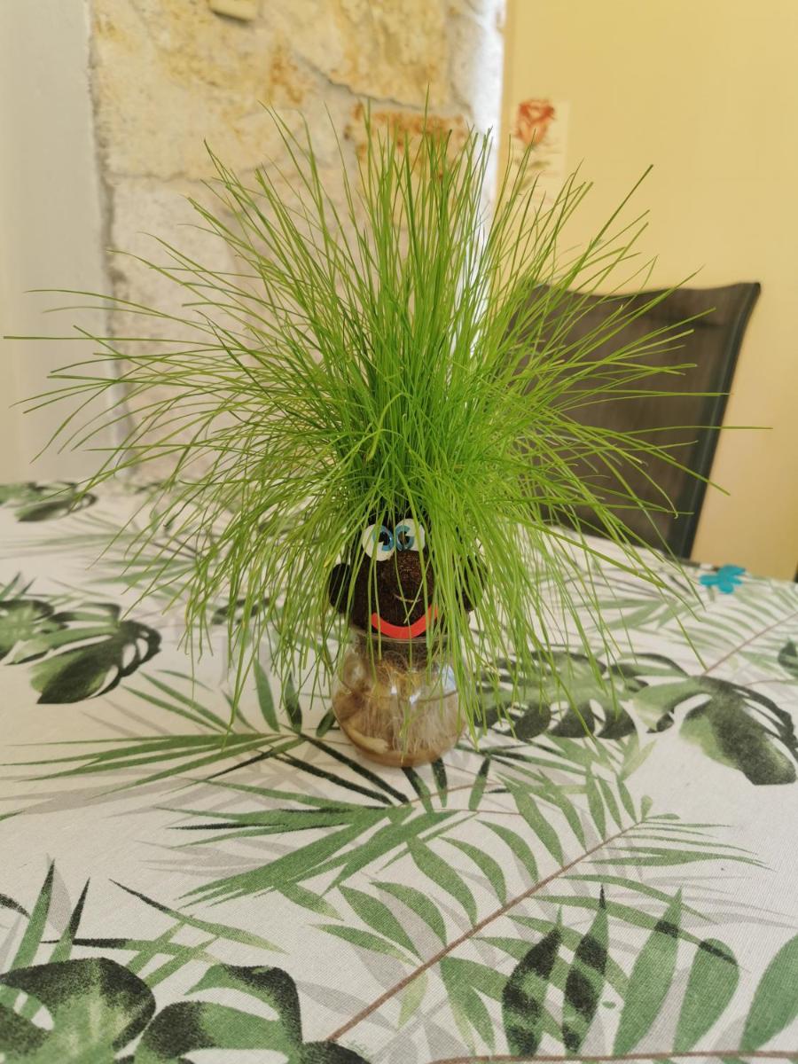 Photo 38