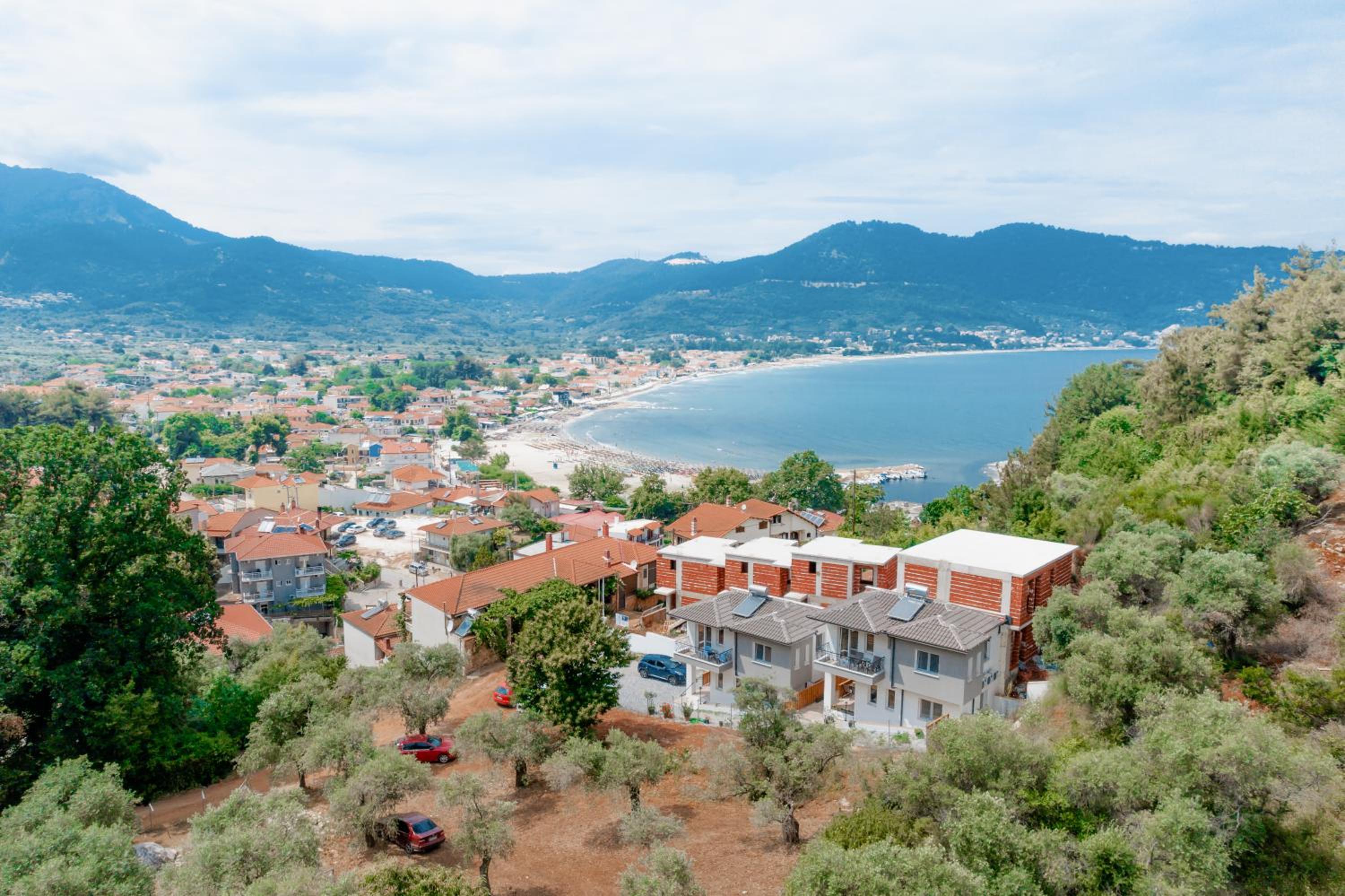 Evergreen Thassos
