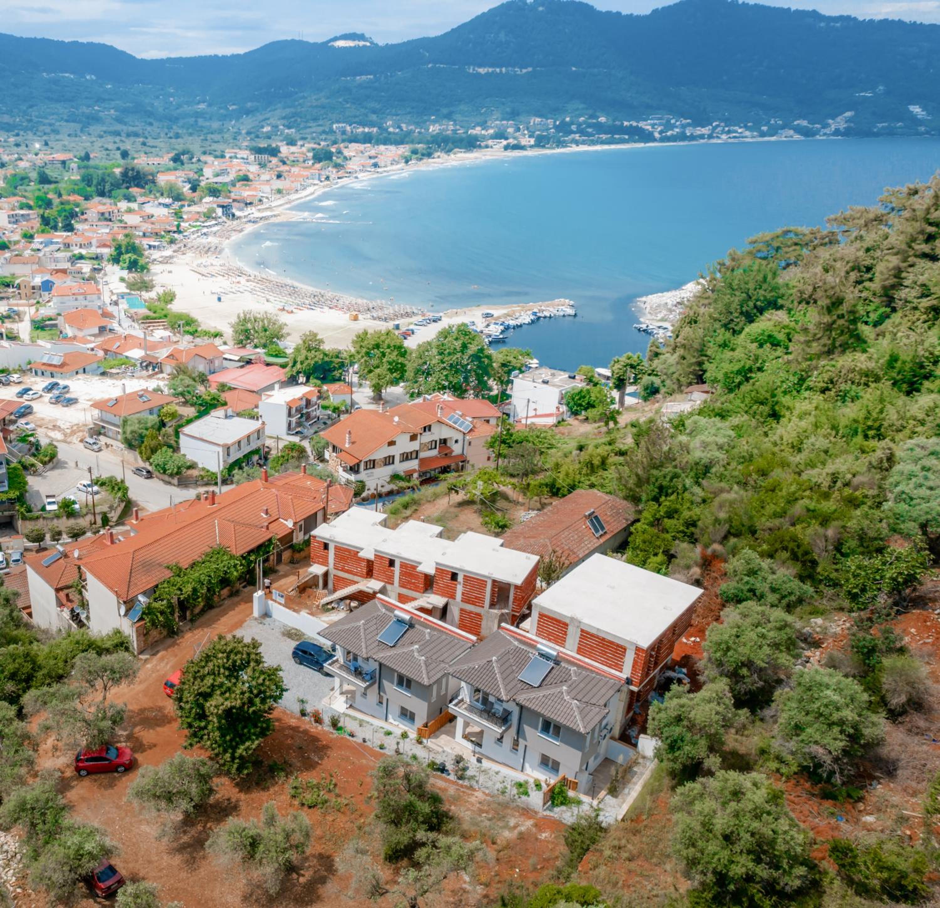 Evergreen Thassos