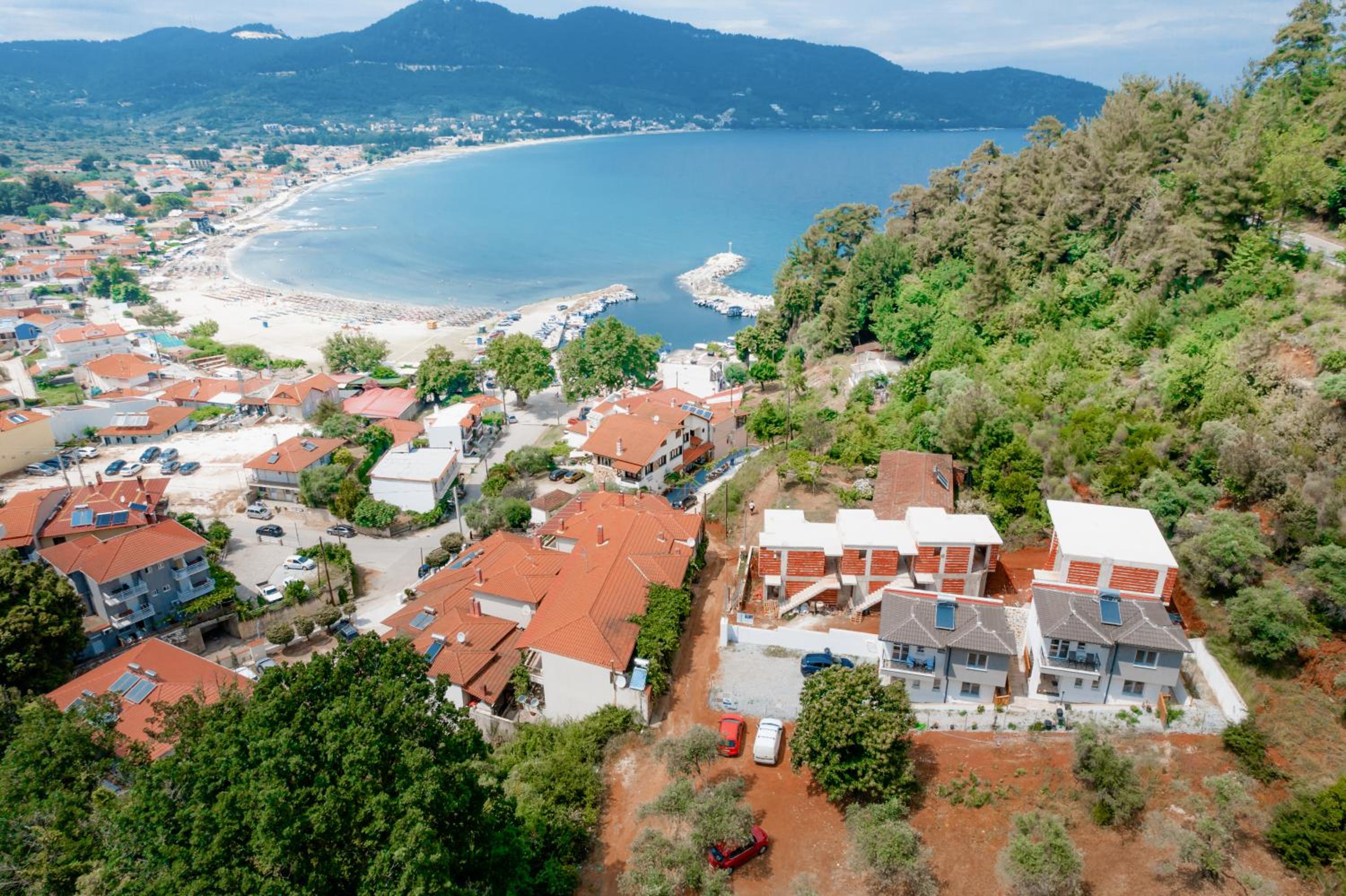 Evergreen Thassos