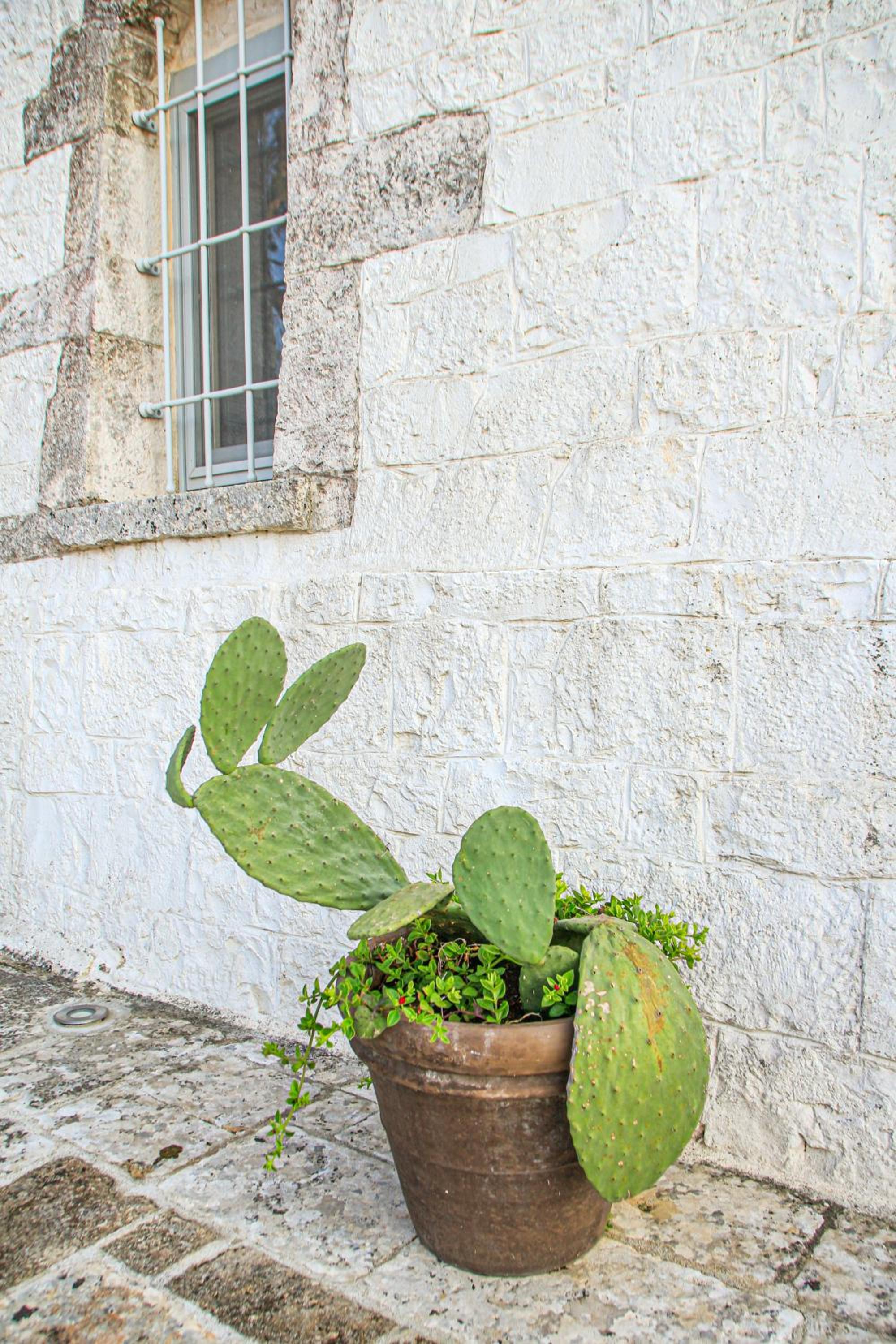 Masseria di Trulli Escape