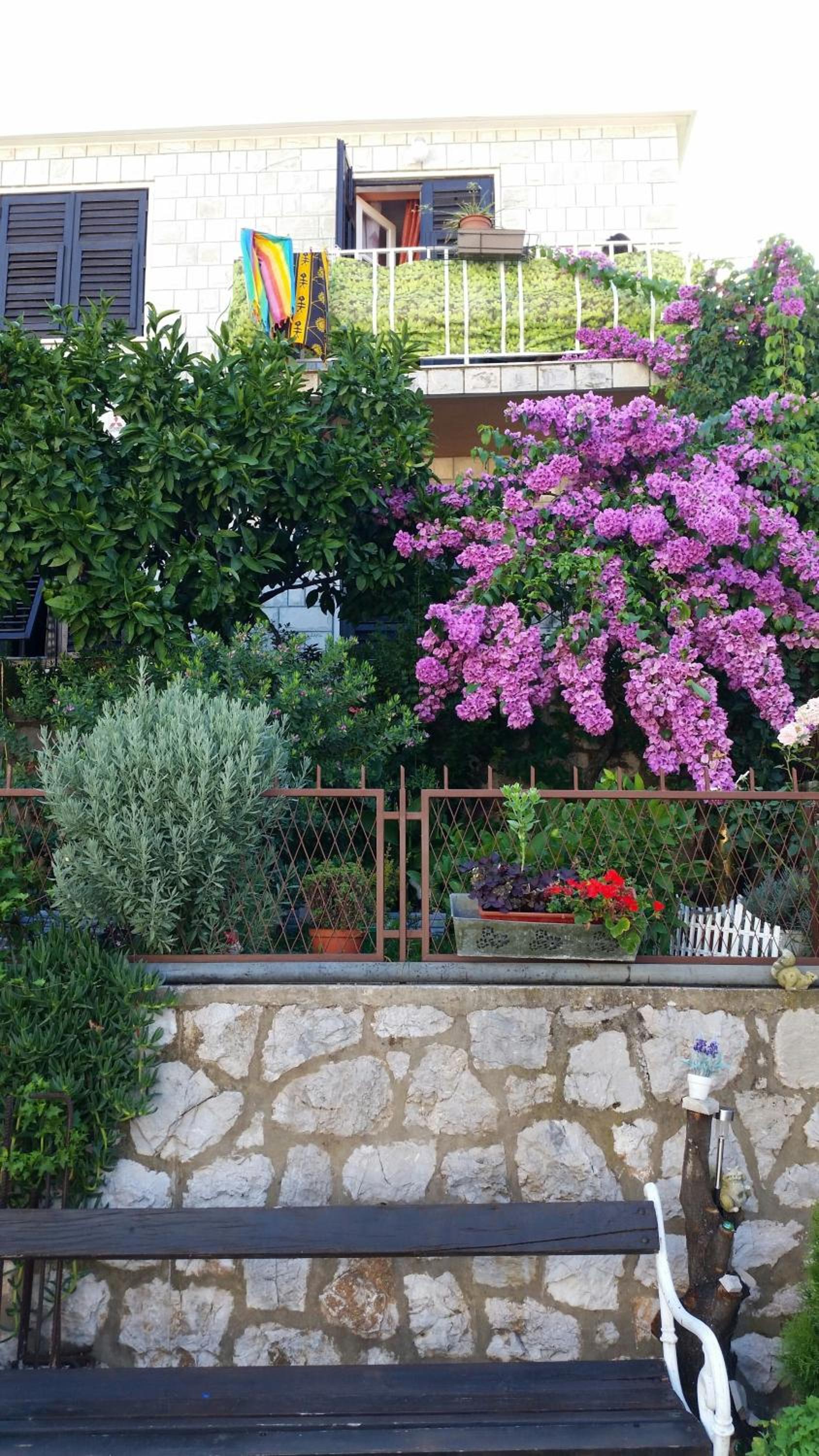 Guesthouse Ivona