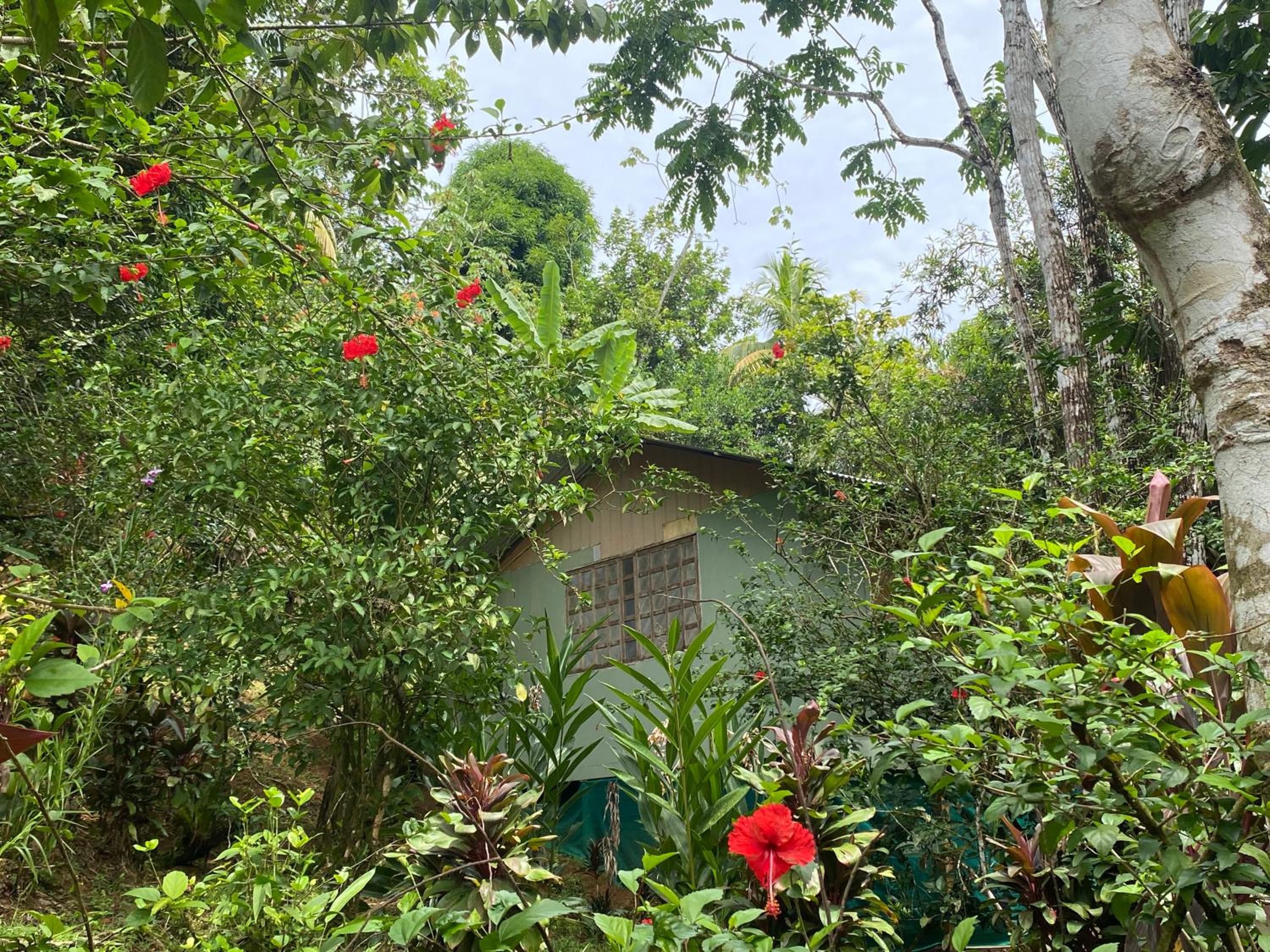 Casa Horizontes Corcovado
