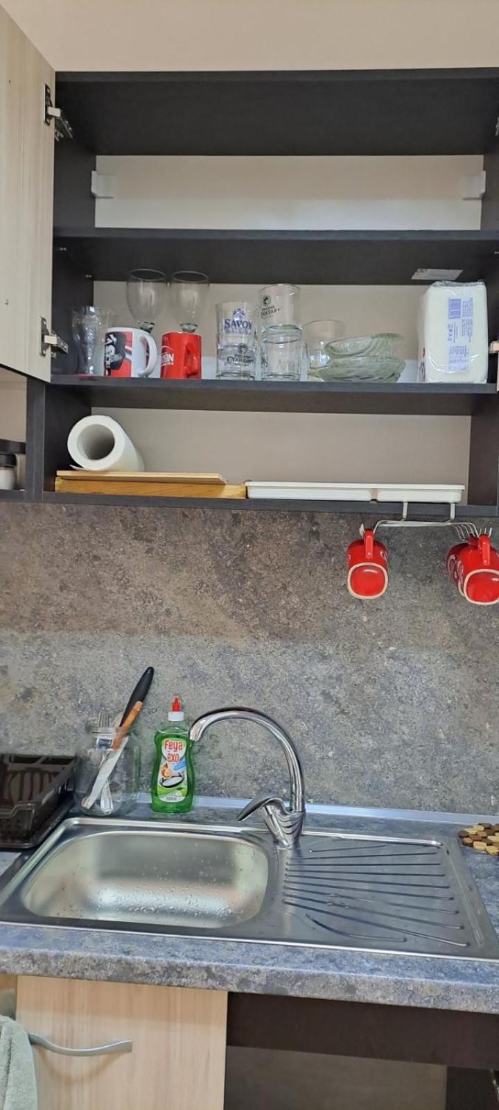 Tanya's flat