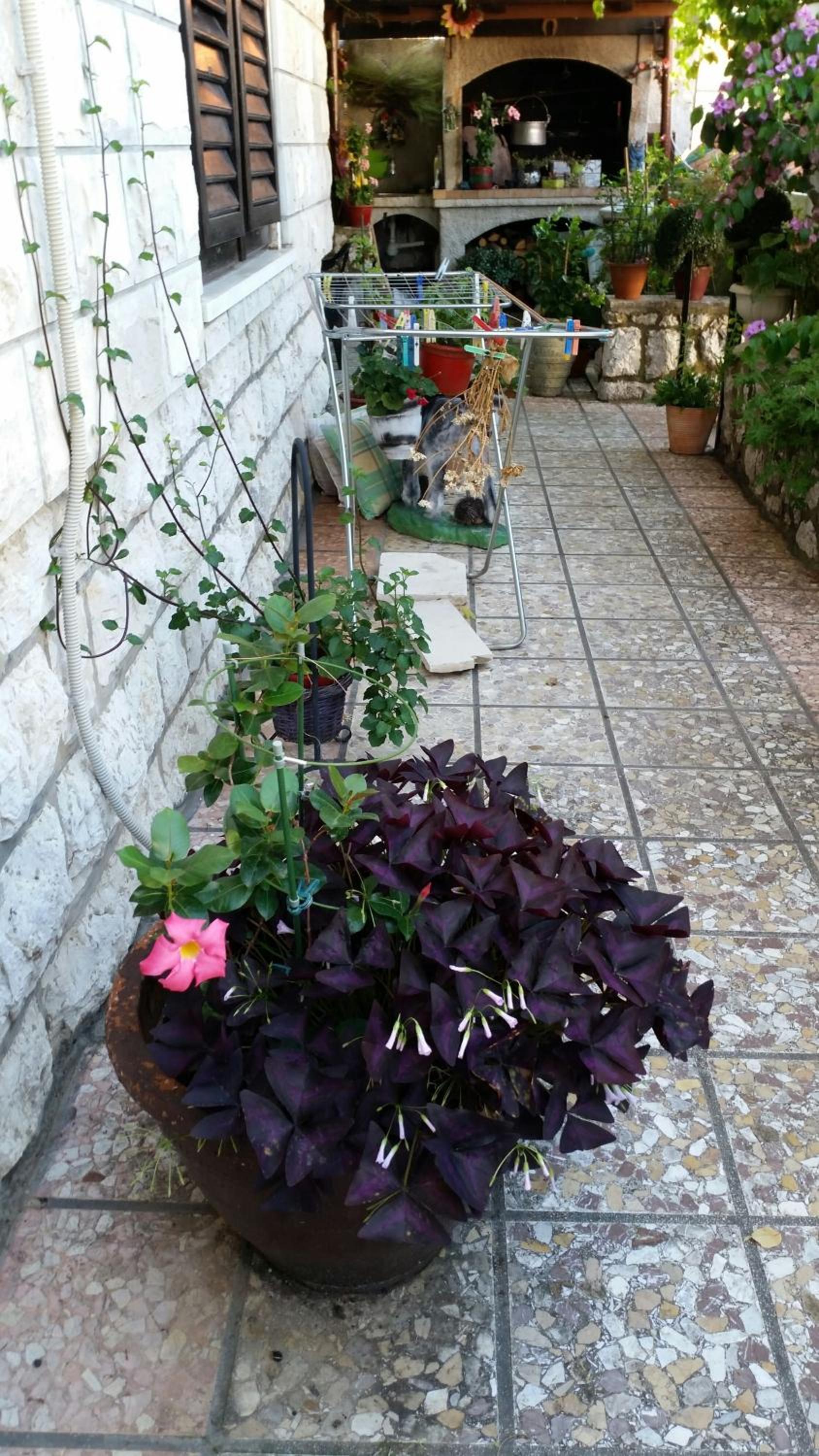 Guesthouse Ivona