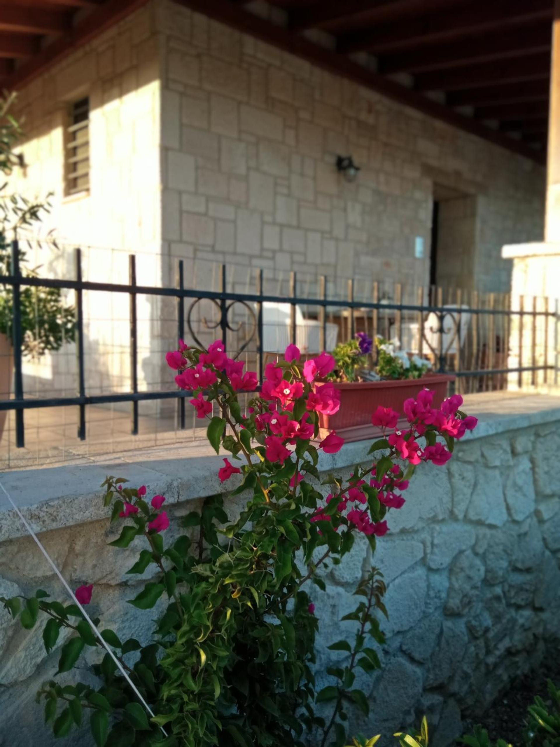 Rodiola House