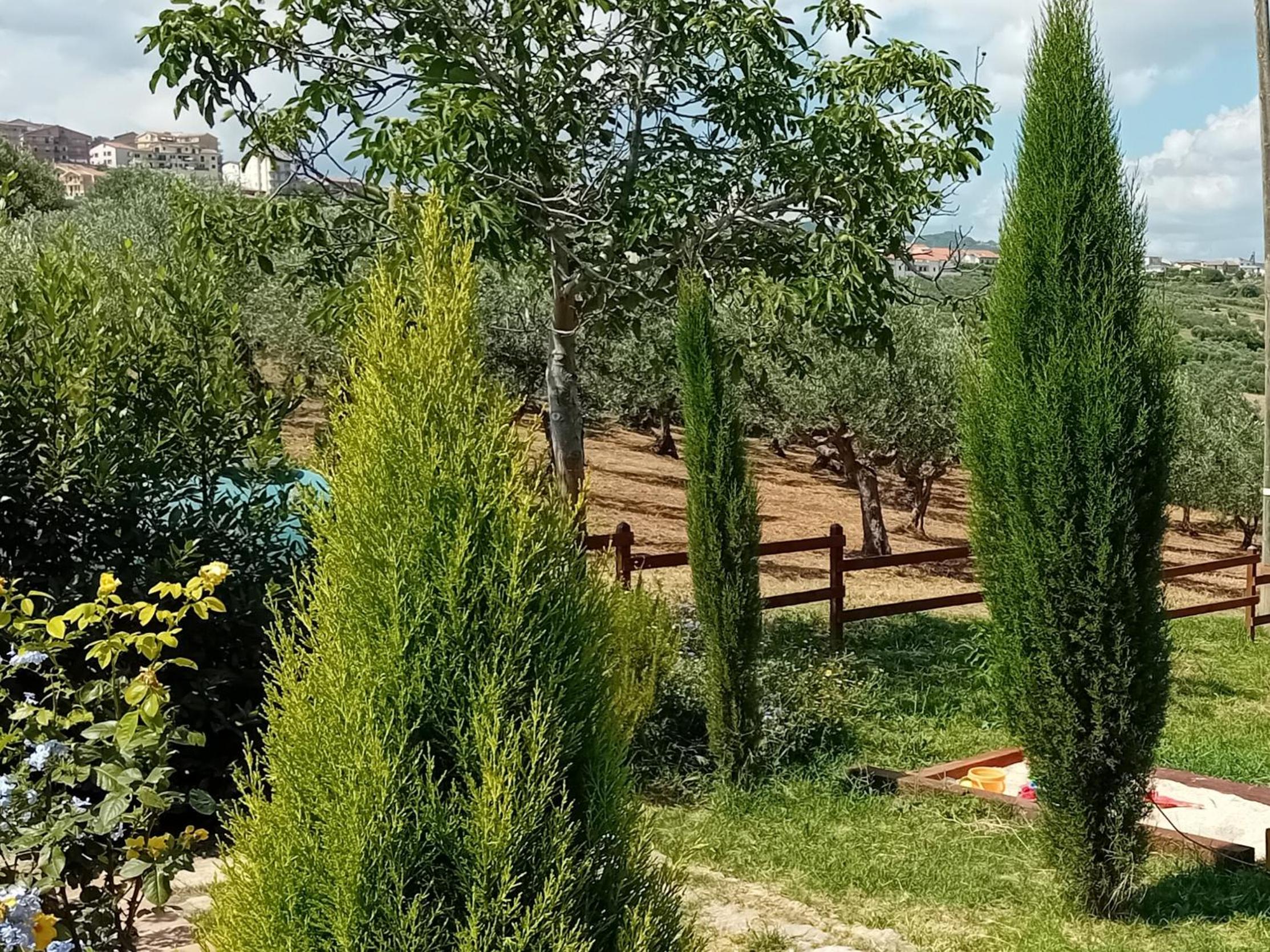 Photo 41