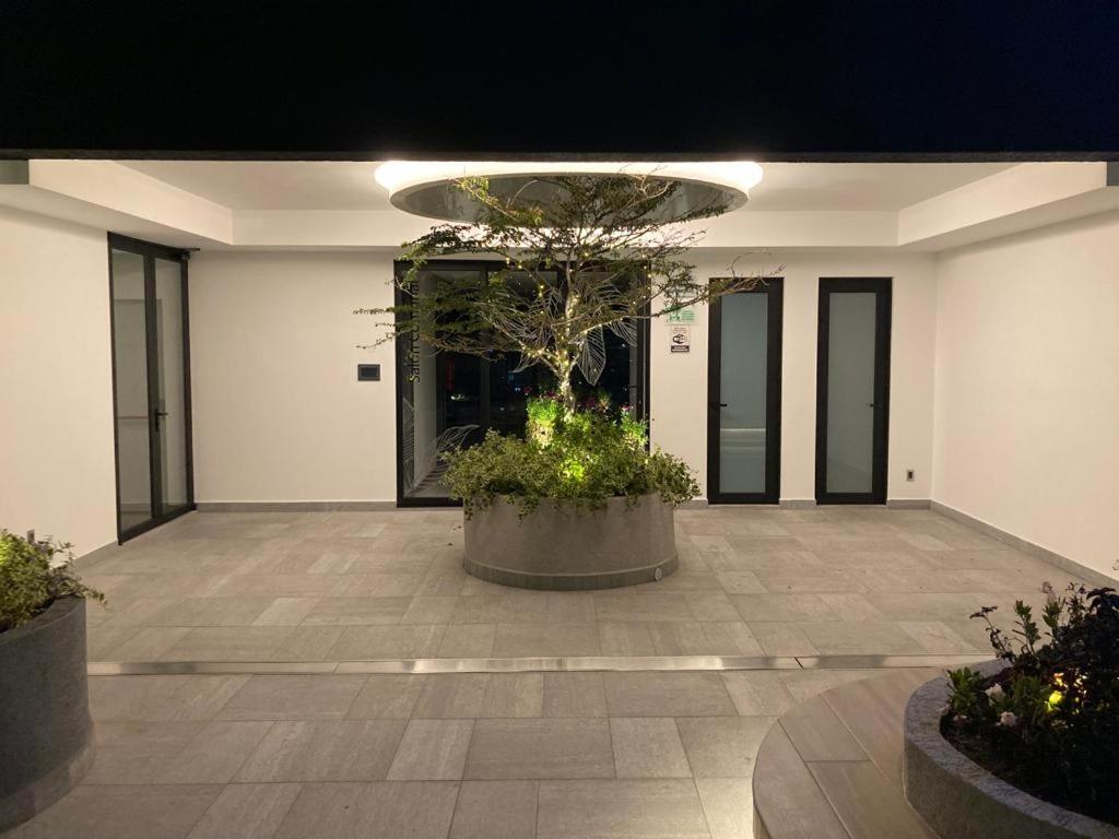 Confort suite La Carolina
