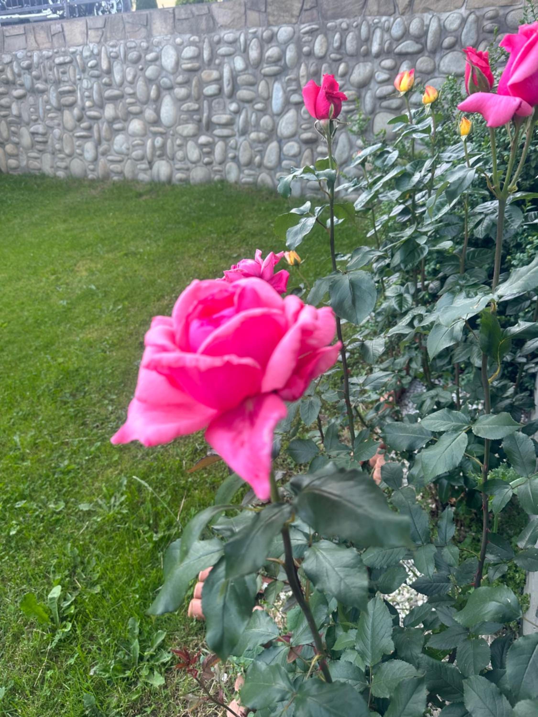 Photo 7