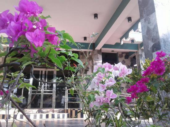 little rose inn