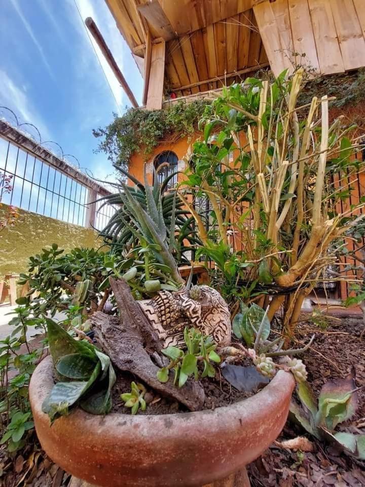 Cuarto Matrimonial Casa Oasis Guanajuato