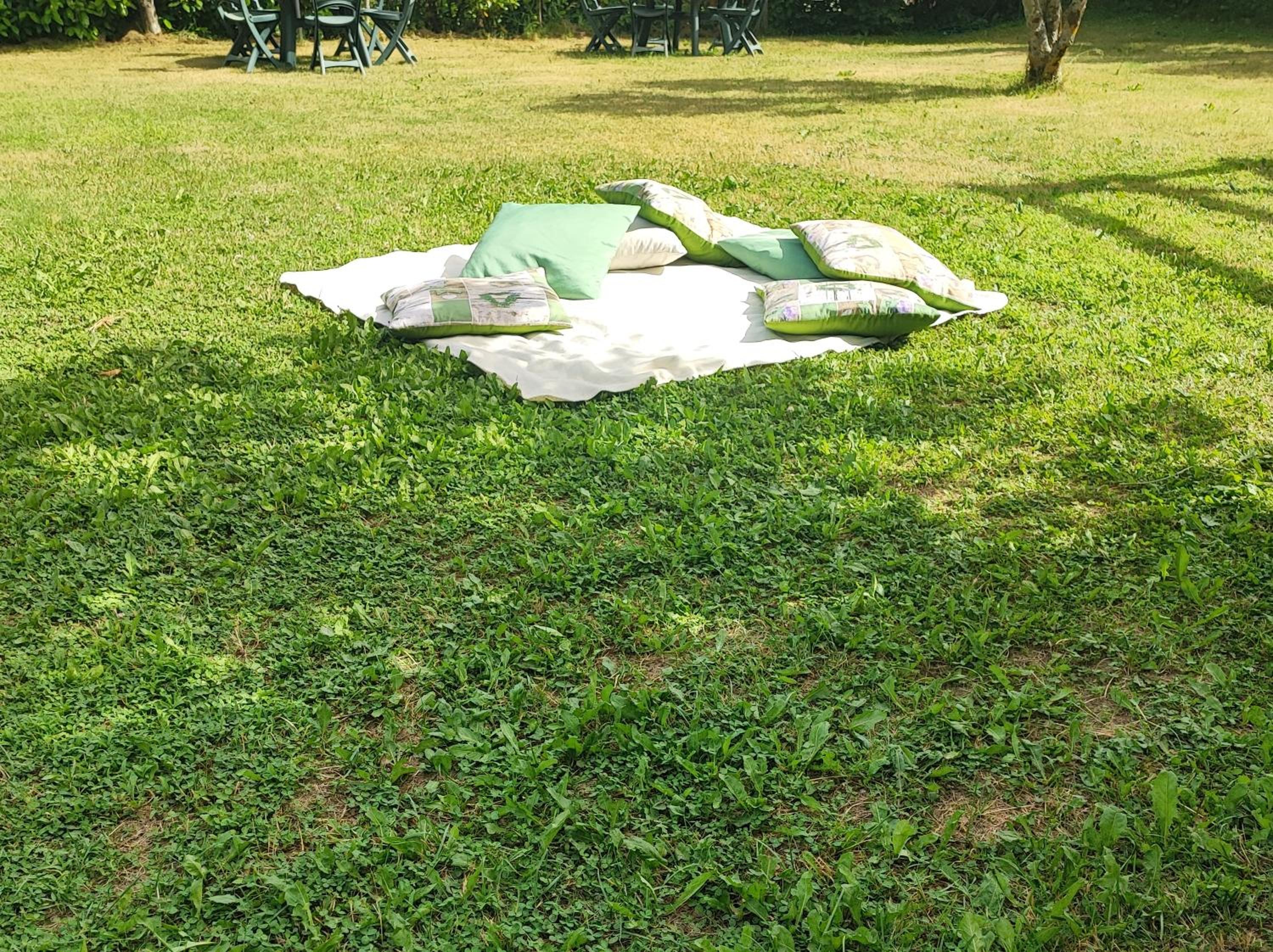Photo 11