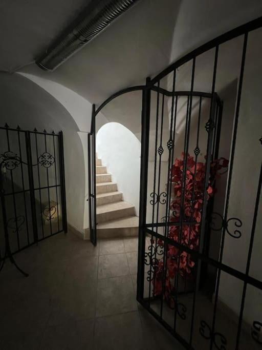 City Center Apartment