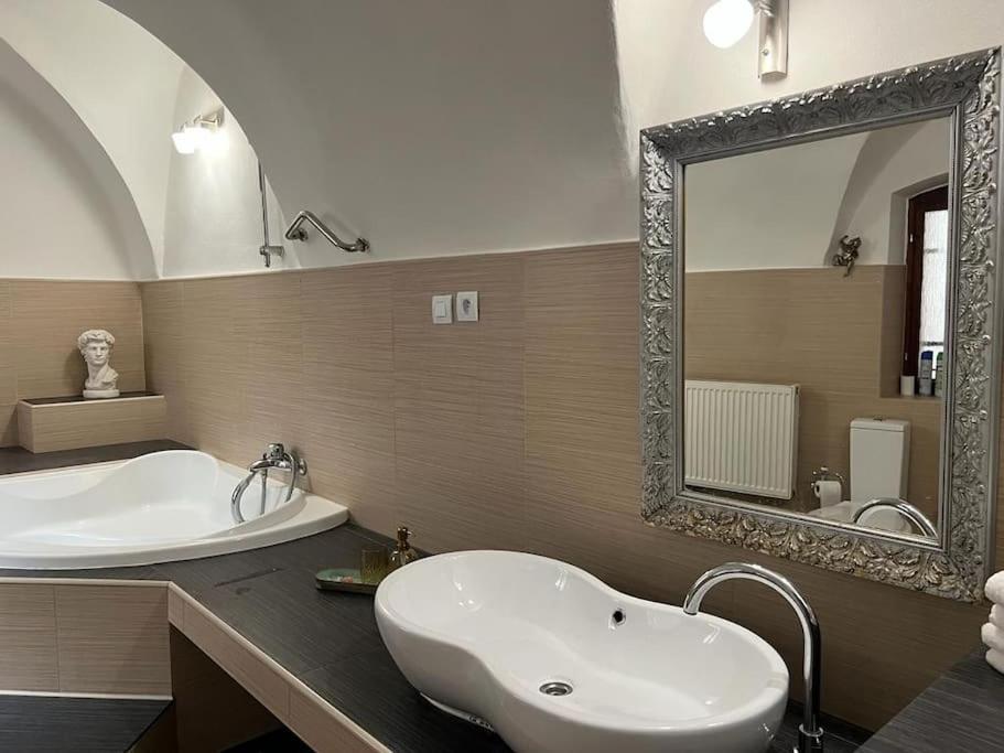 City Center Apartment