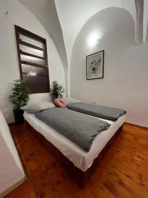 City Center Apartment