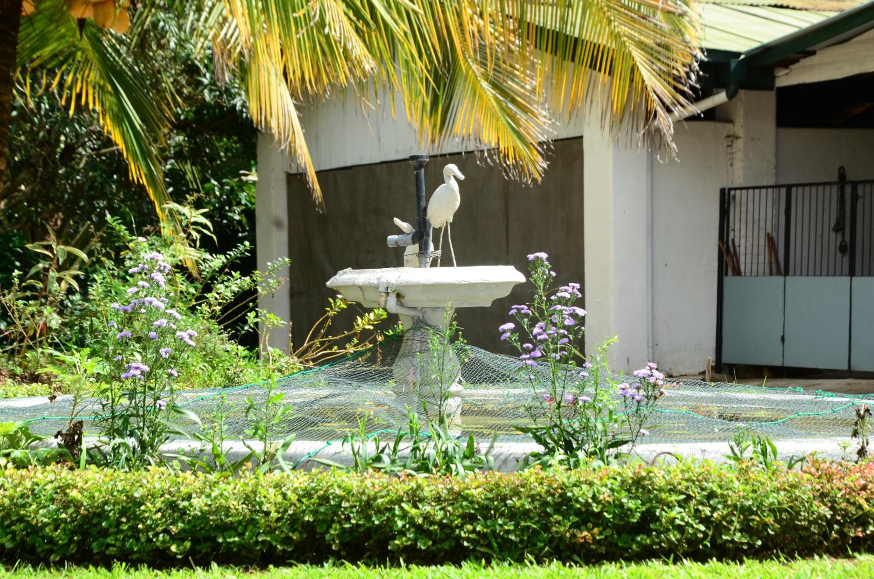 Wattarantanne homestay