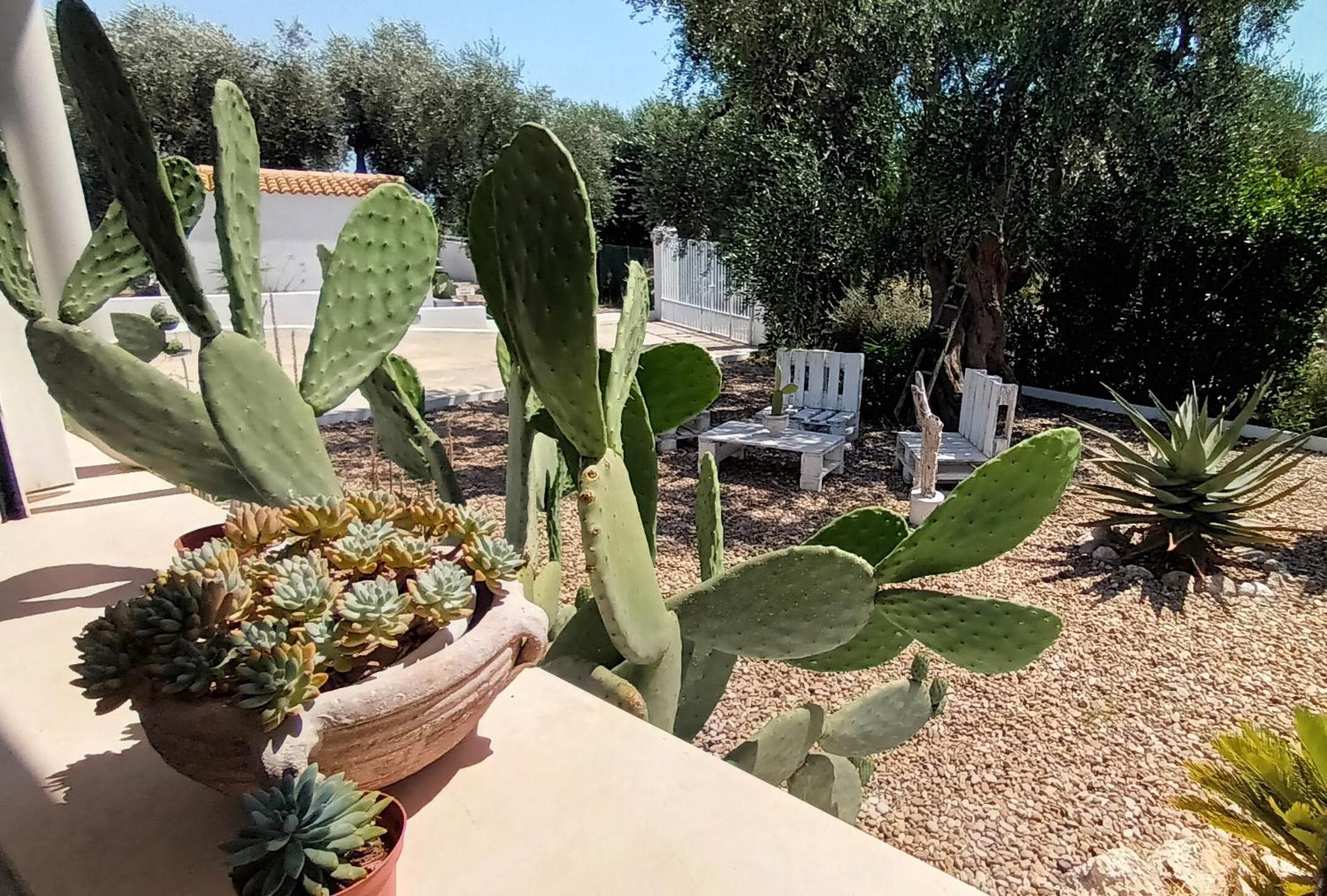 B&B Sperlonga view 3