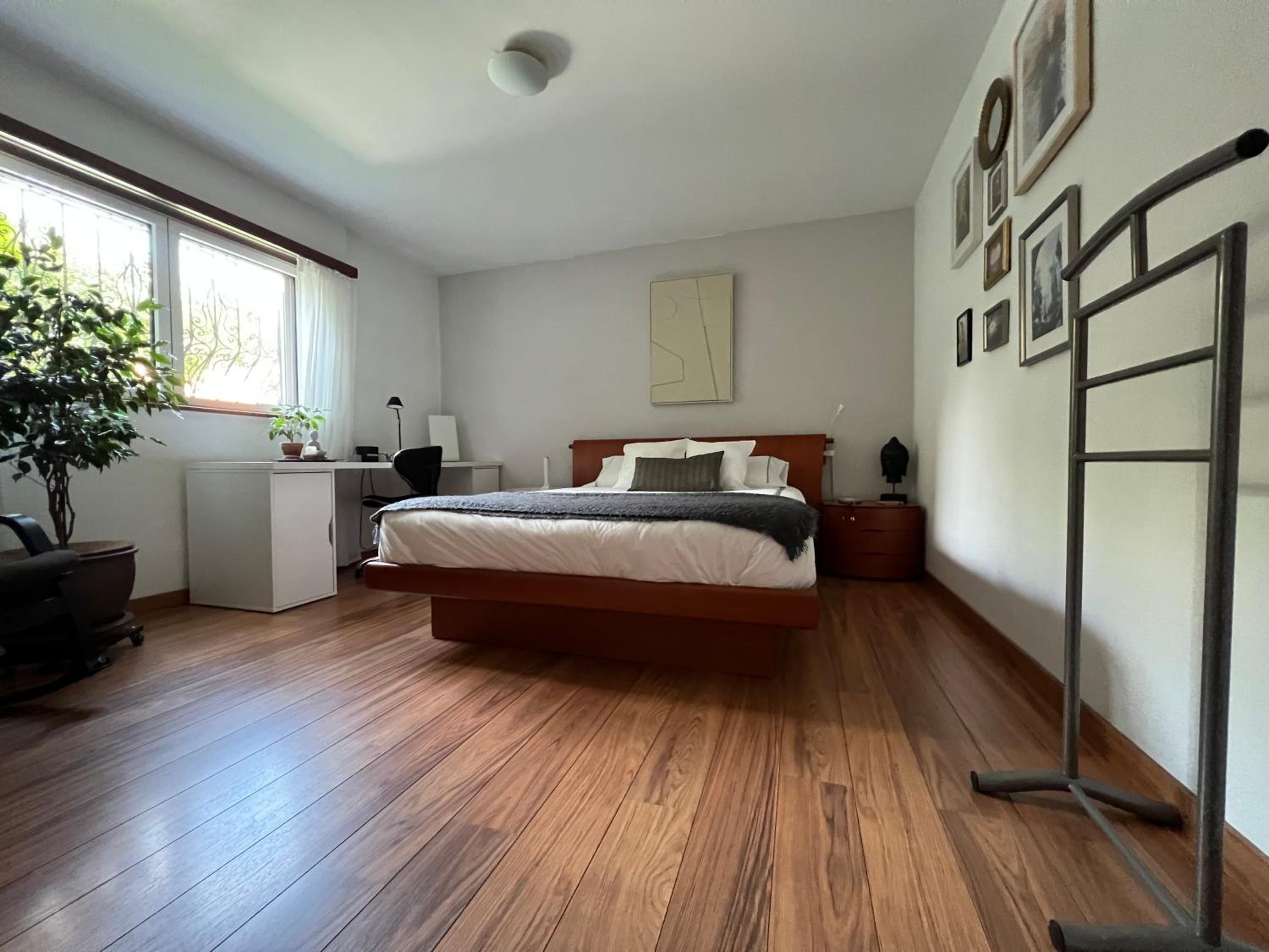 The Comfy Apartment