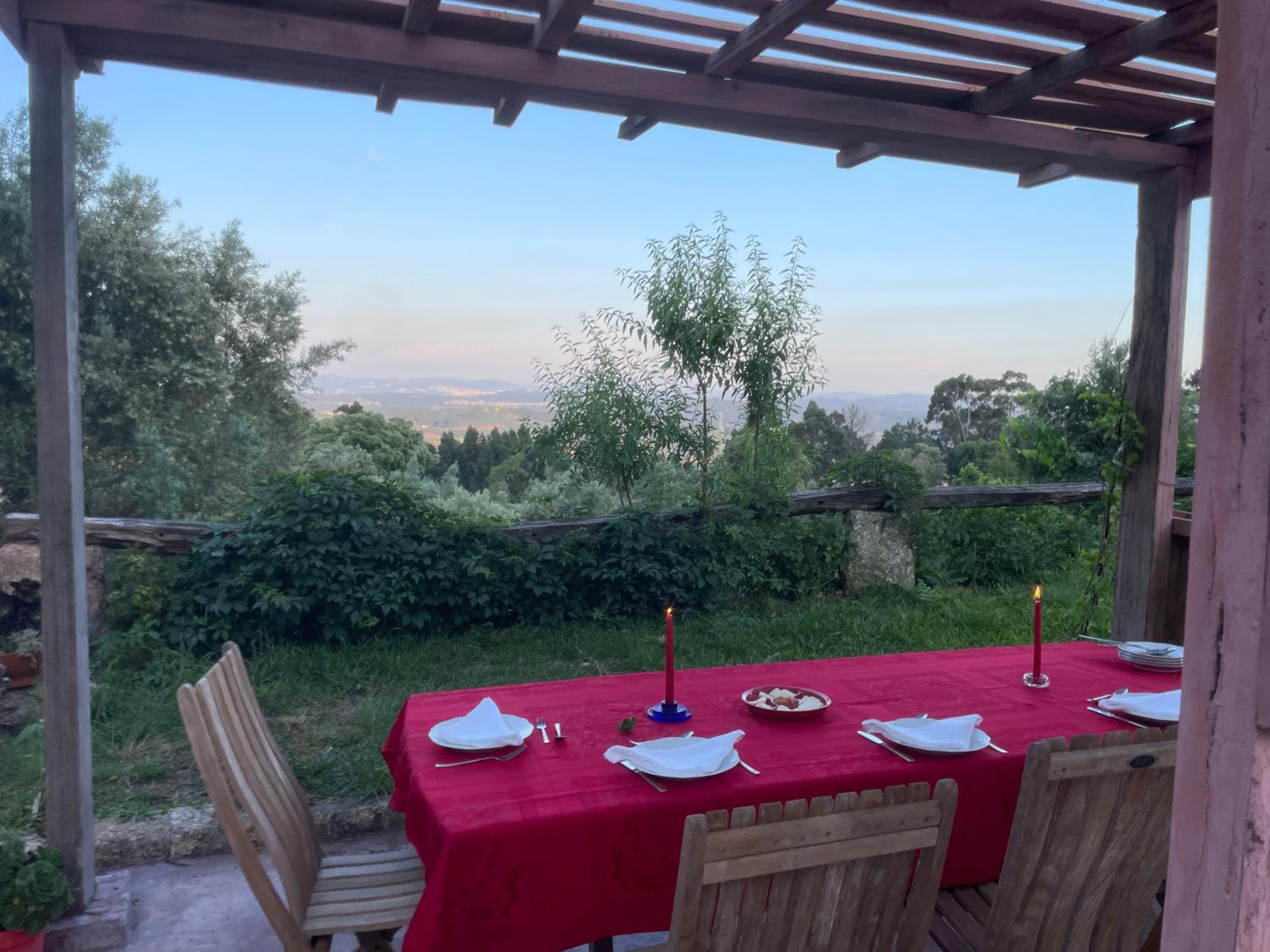 AltaVista view 3