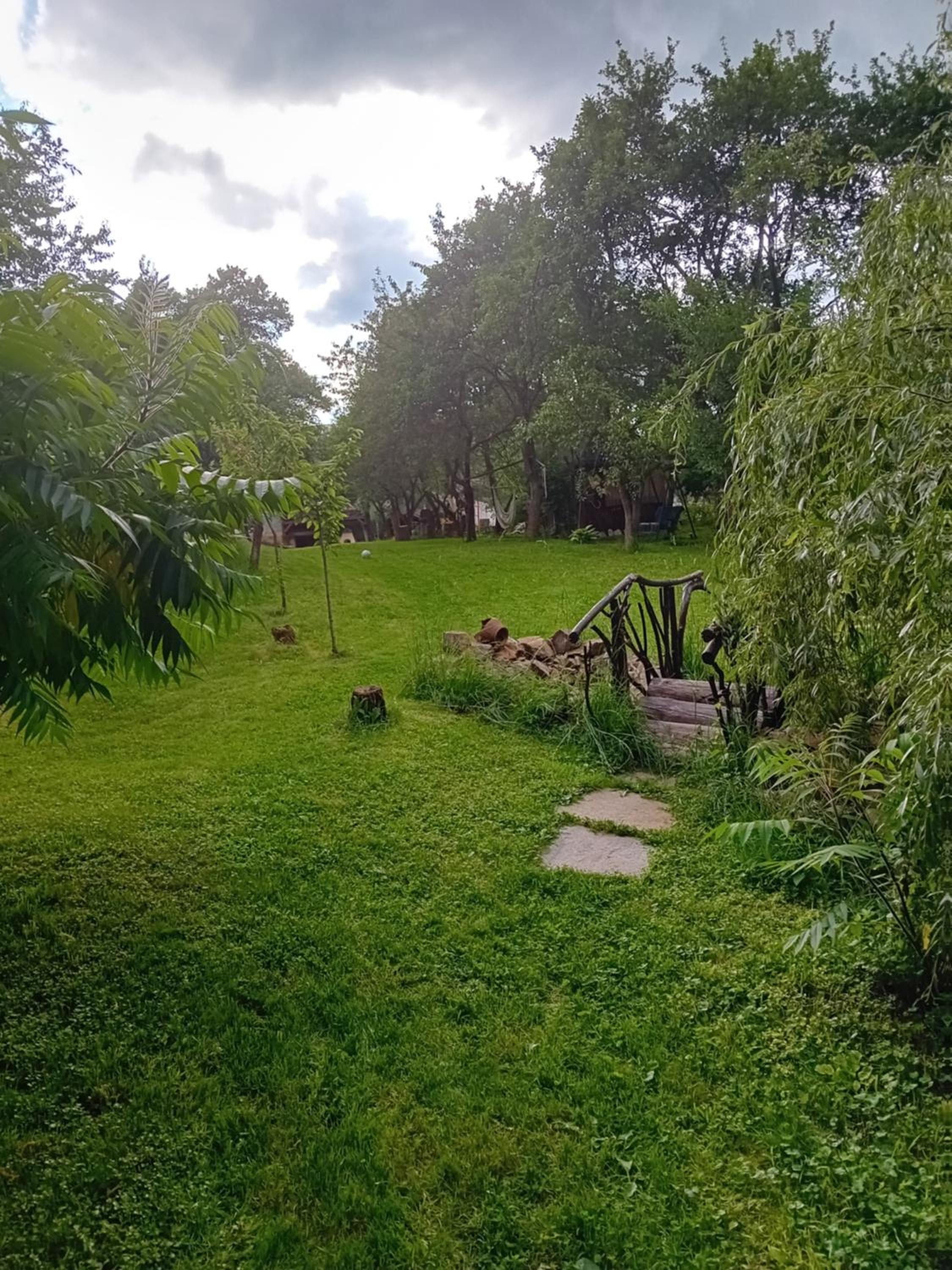 Photo 25