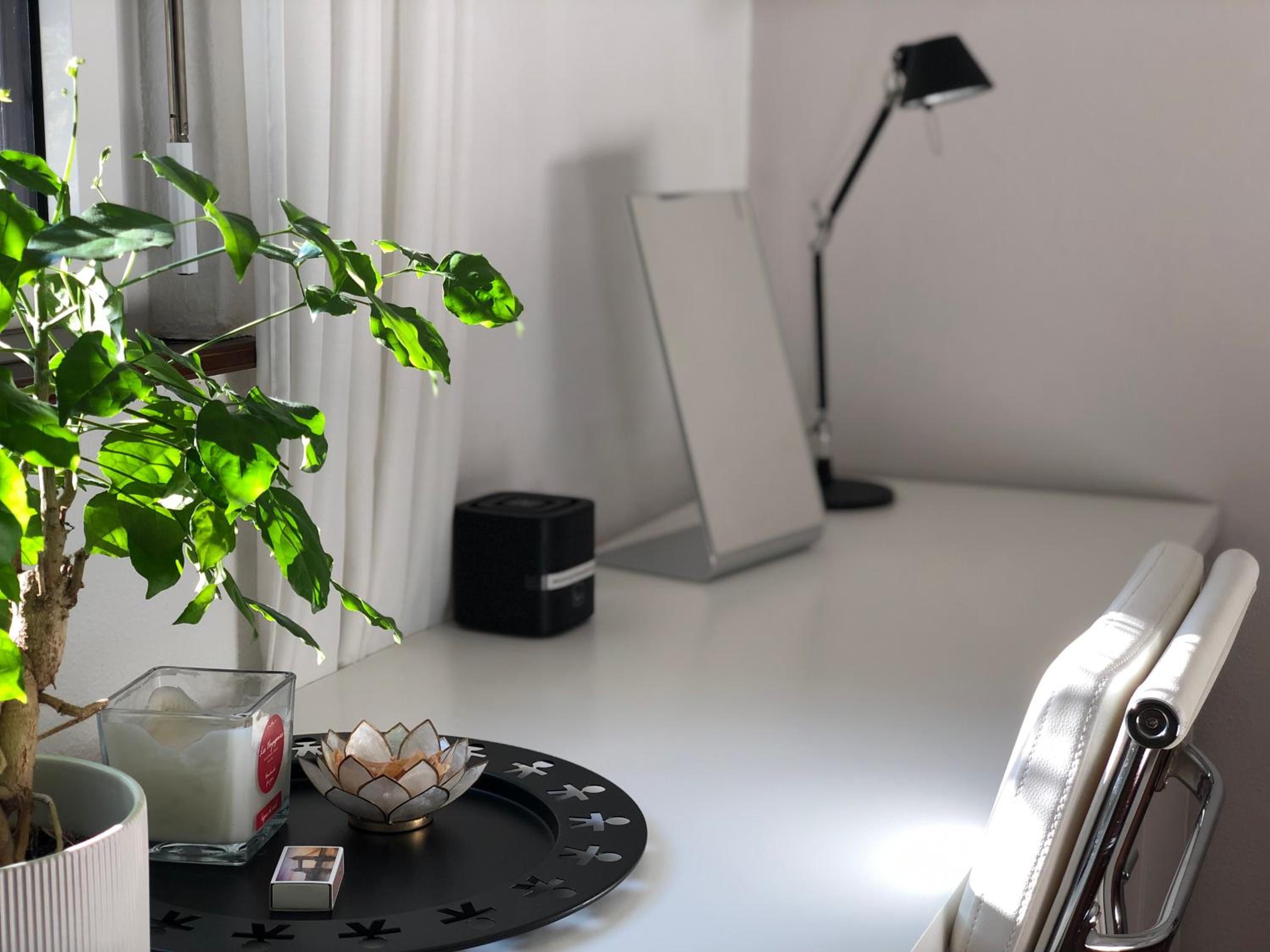 The Comfy Apartment