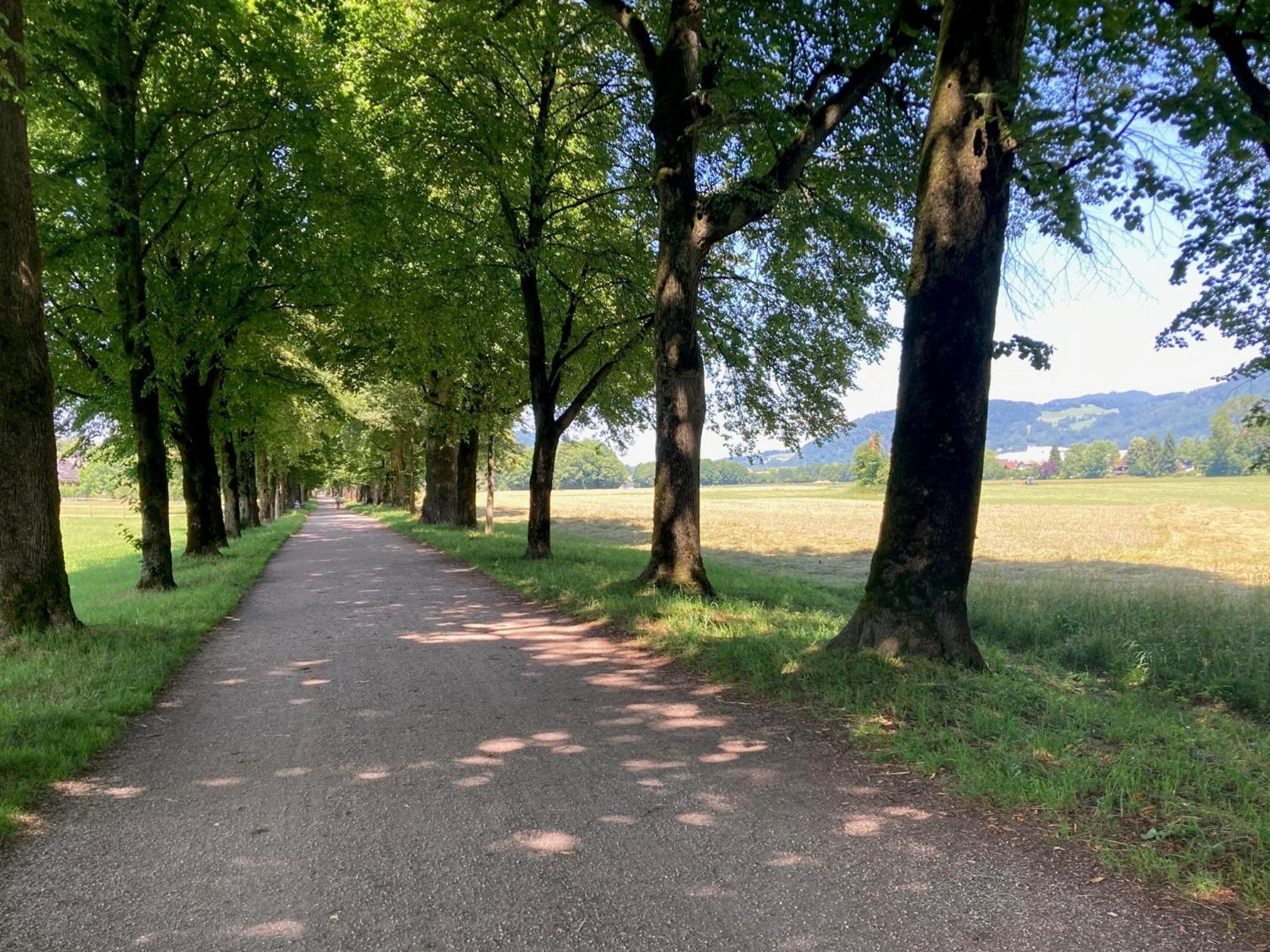 Haus mit Sauna und privatem Badeteich in Anif bei Salzburg