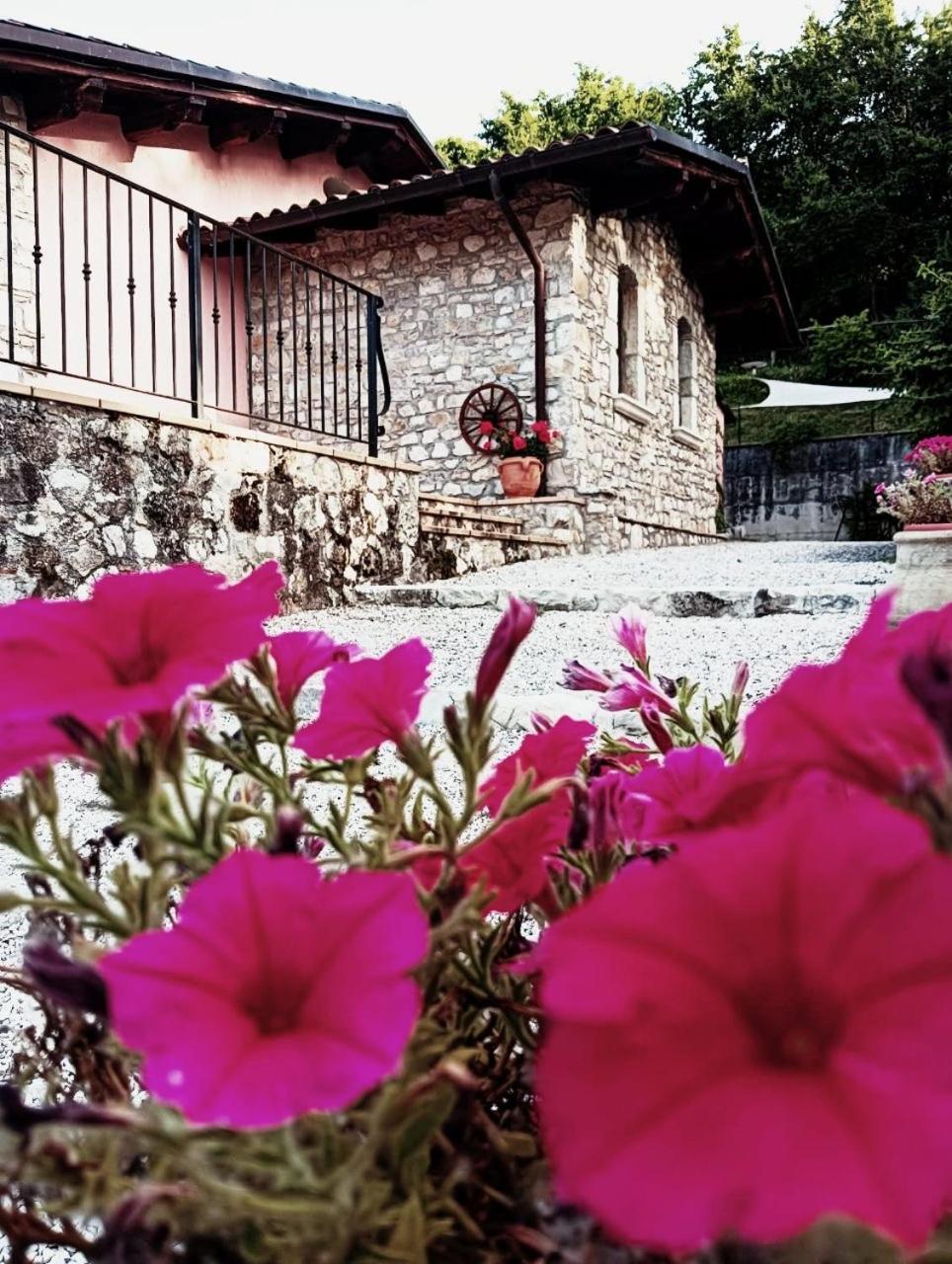 Appartamento Vacanze Il Daino
