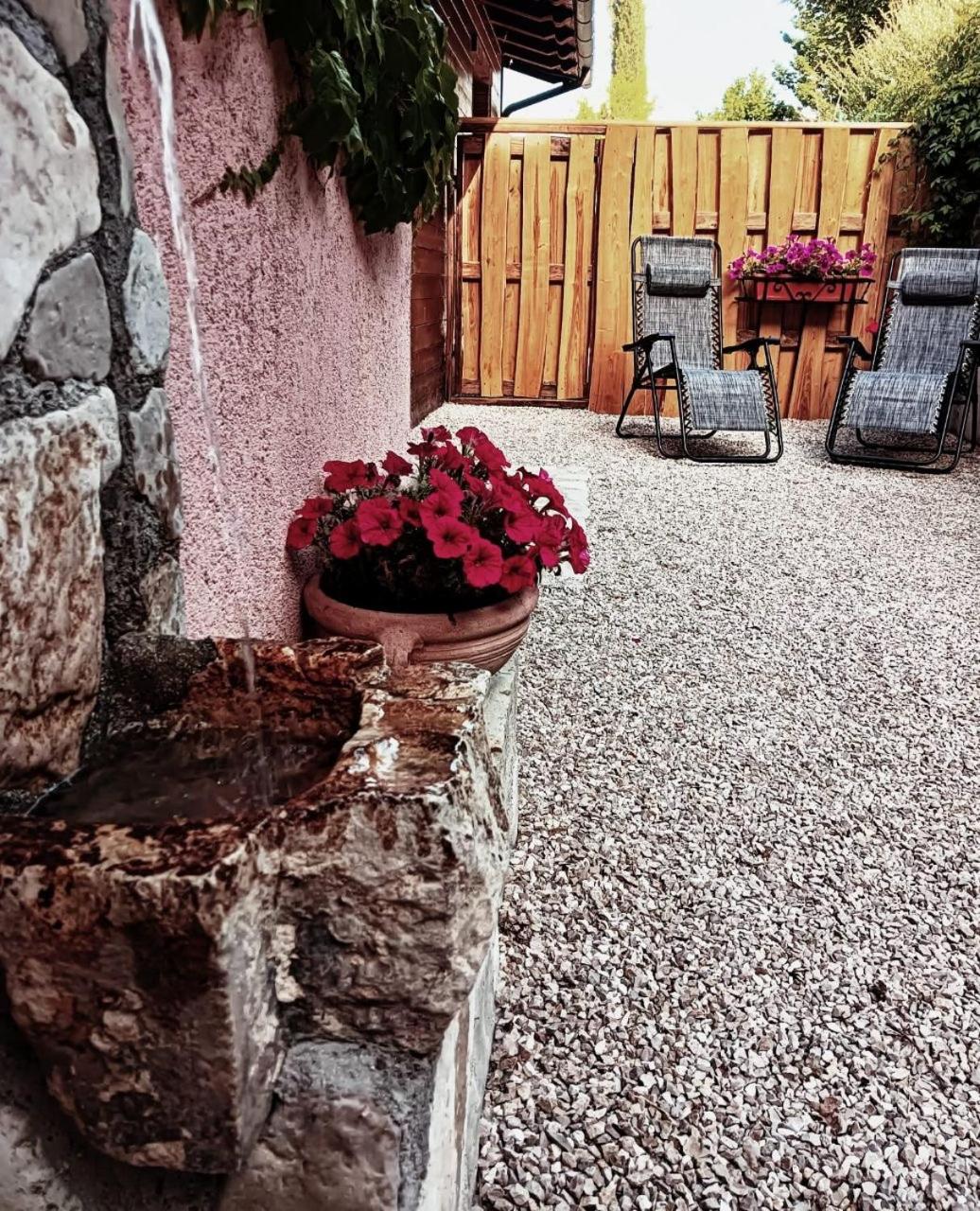 Appartamento Vacanze Il Daino