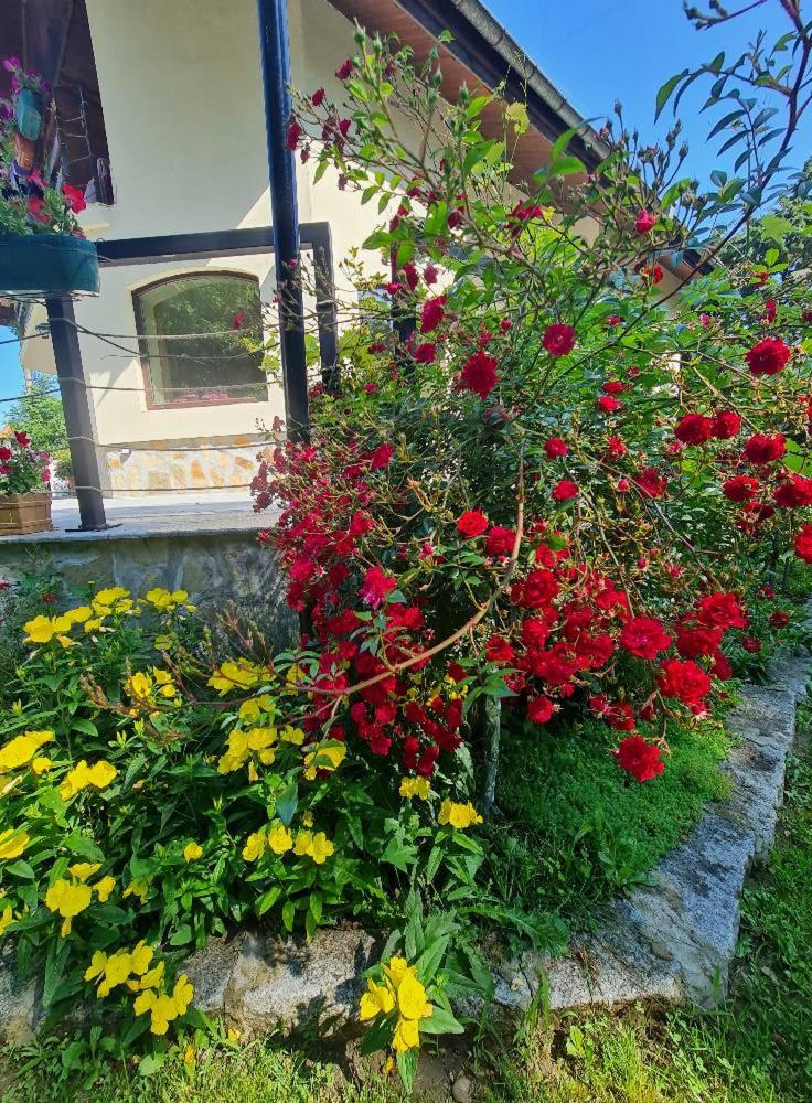 Villa Janet