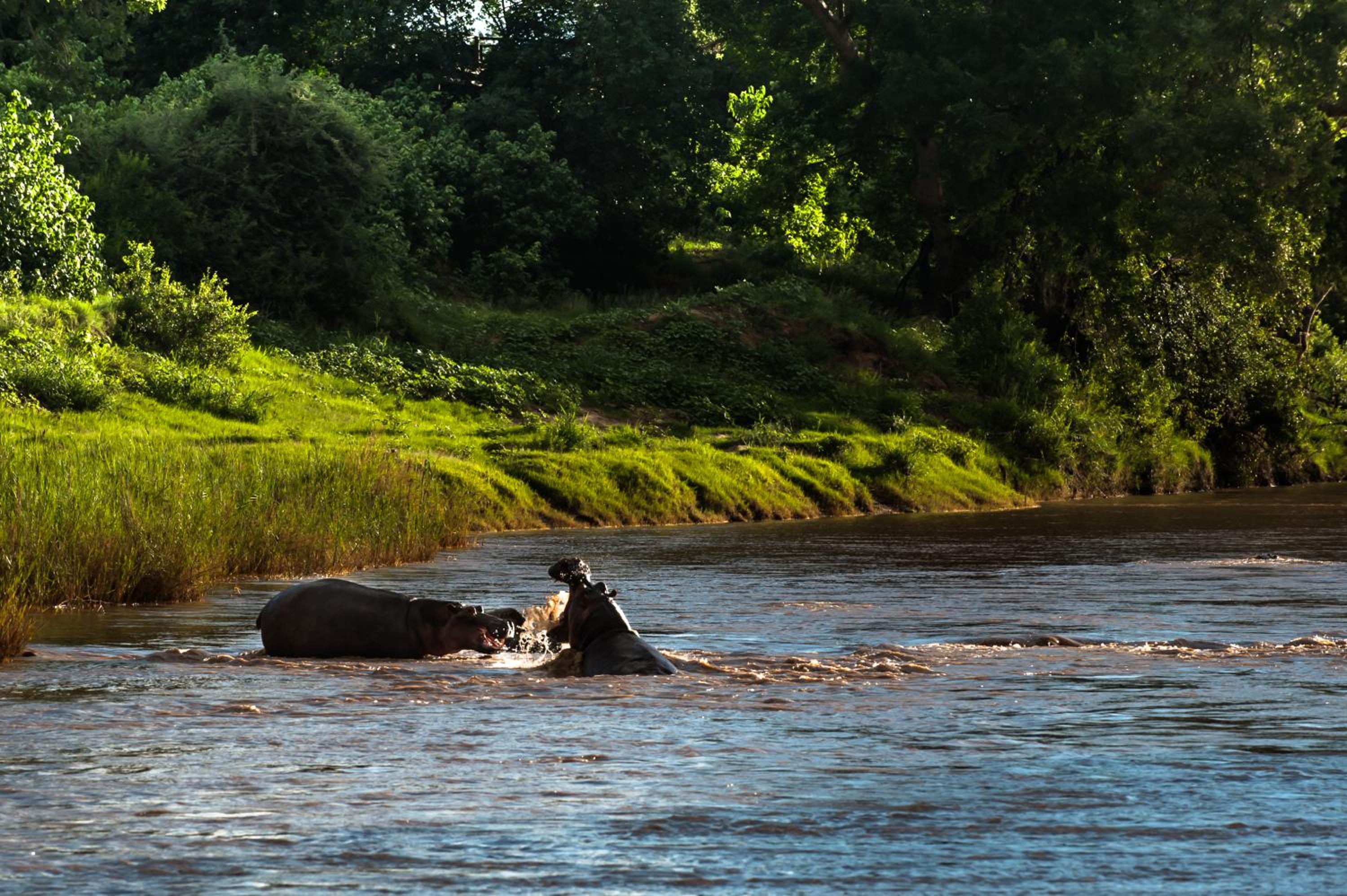 Maninghi Lodge