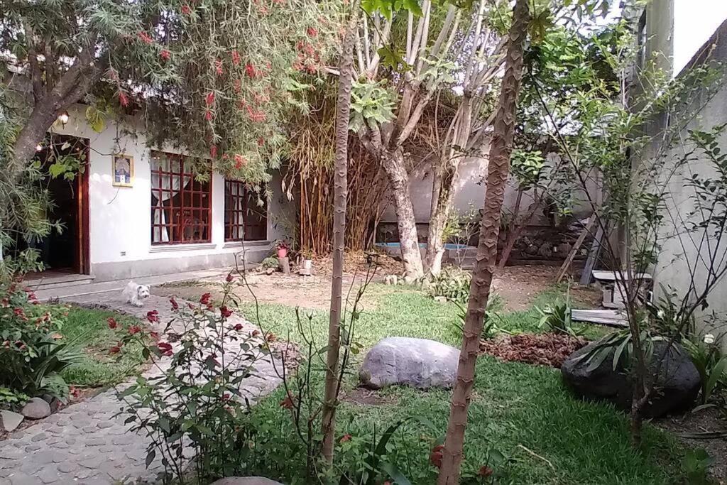 Casa de descanso familiar Panajachel view 3