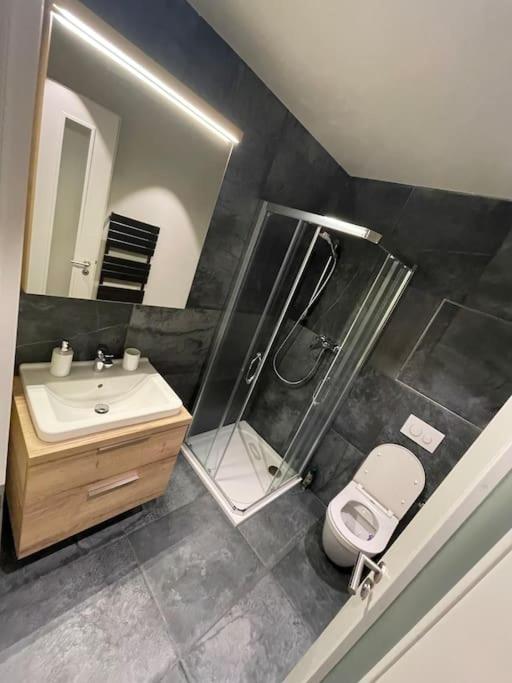 Apartmán Harmonie - Šumava