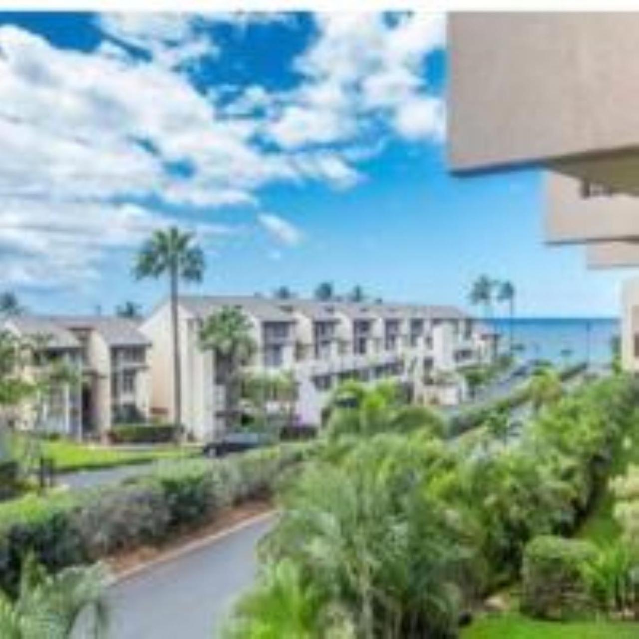 Hotel Live da HI life--great beach and great views! - Image 1