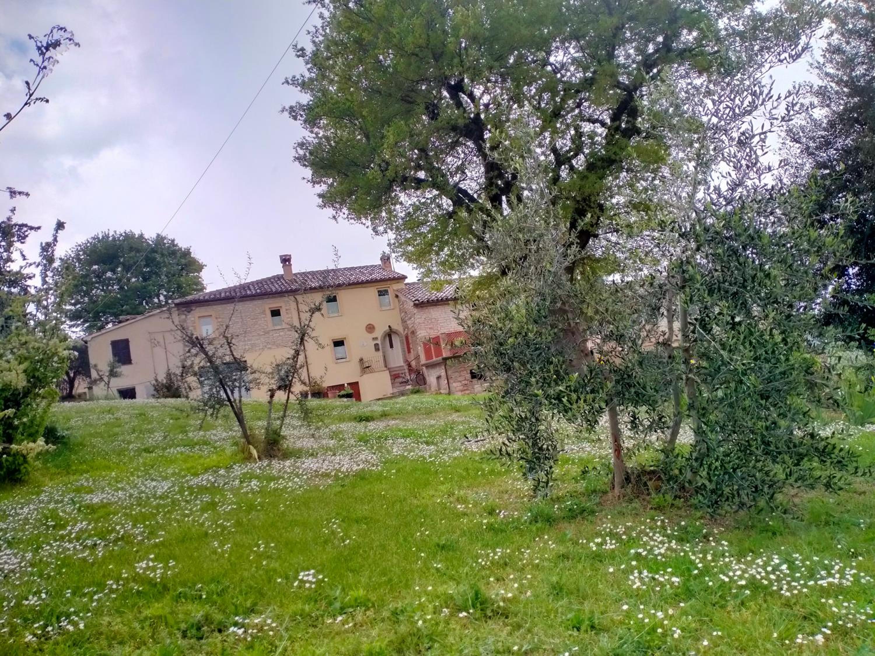 La casa di Mastro Ivetto view 4