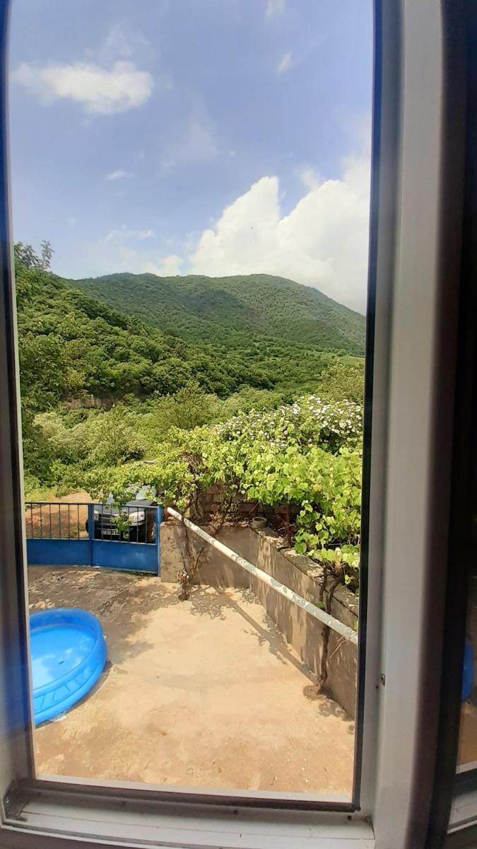 Guest house VL