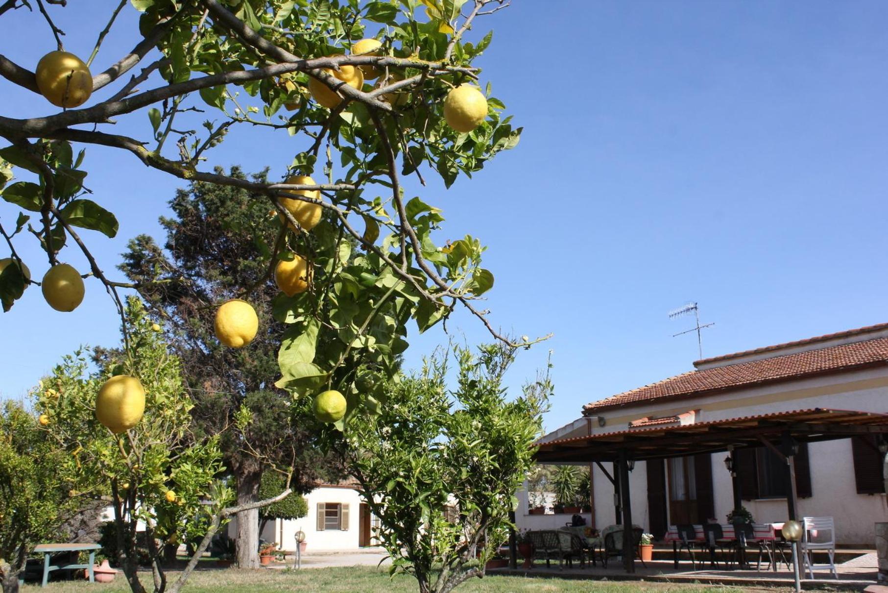 Photo 42