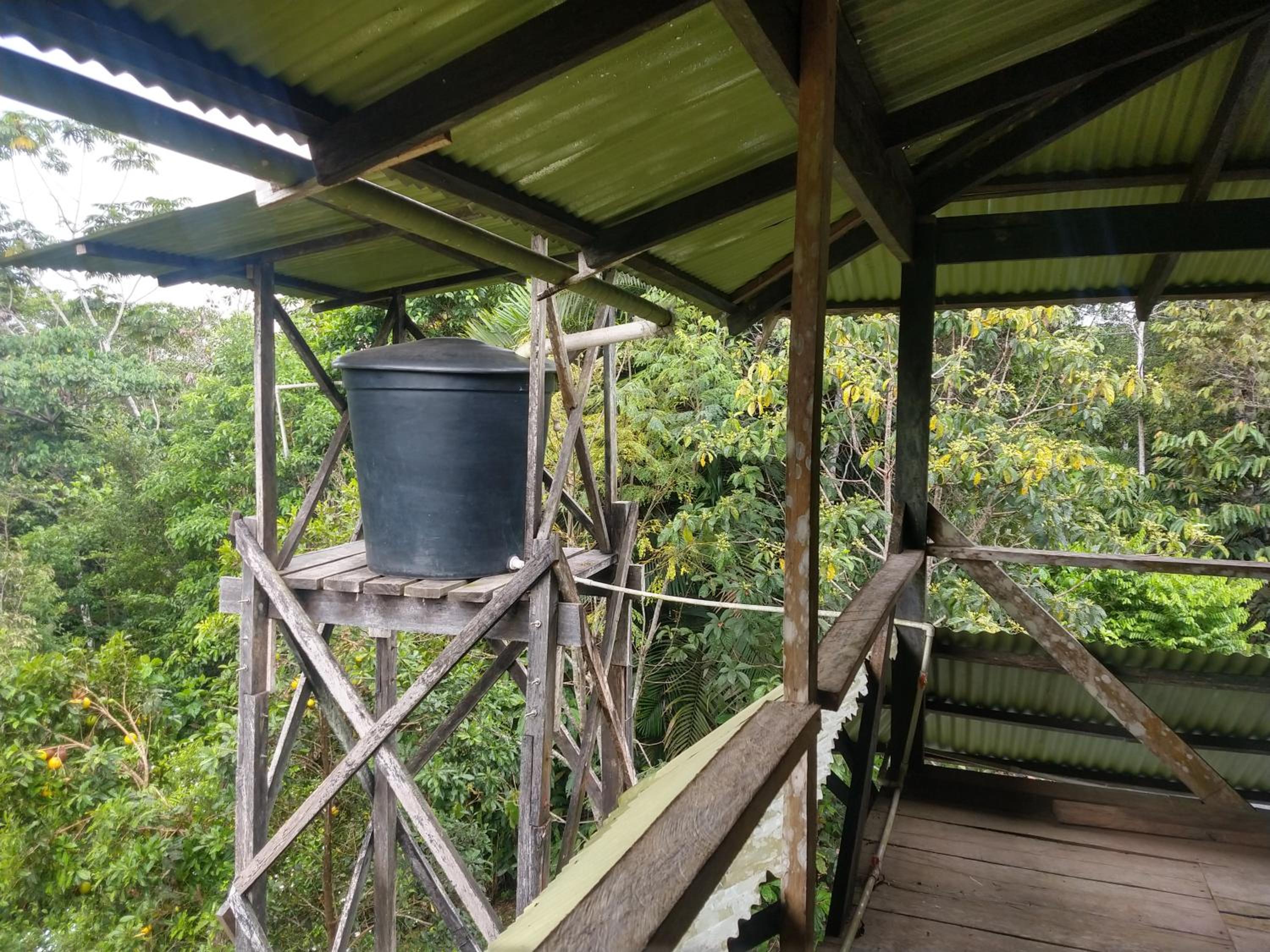 Lomón de los Zipas Amazónicos