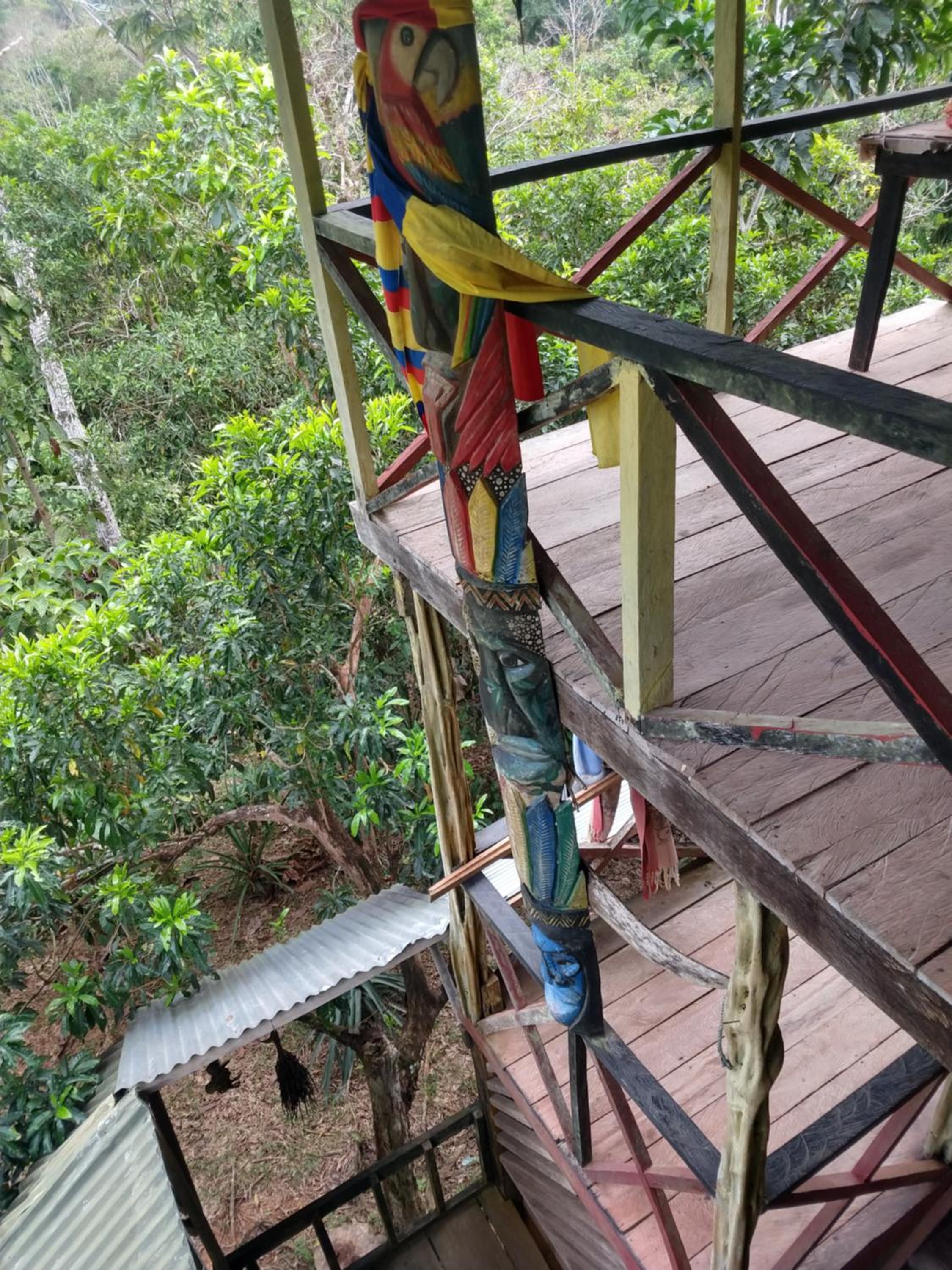 Lomón de los Zipas Amazónicos