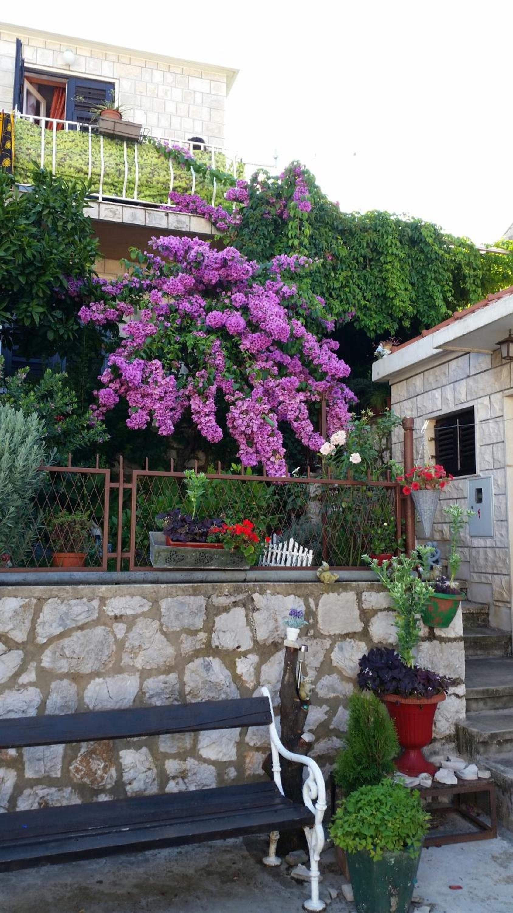 Guesthouse Ivona