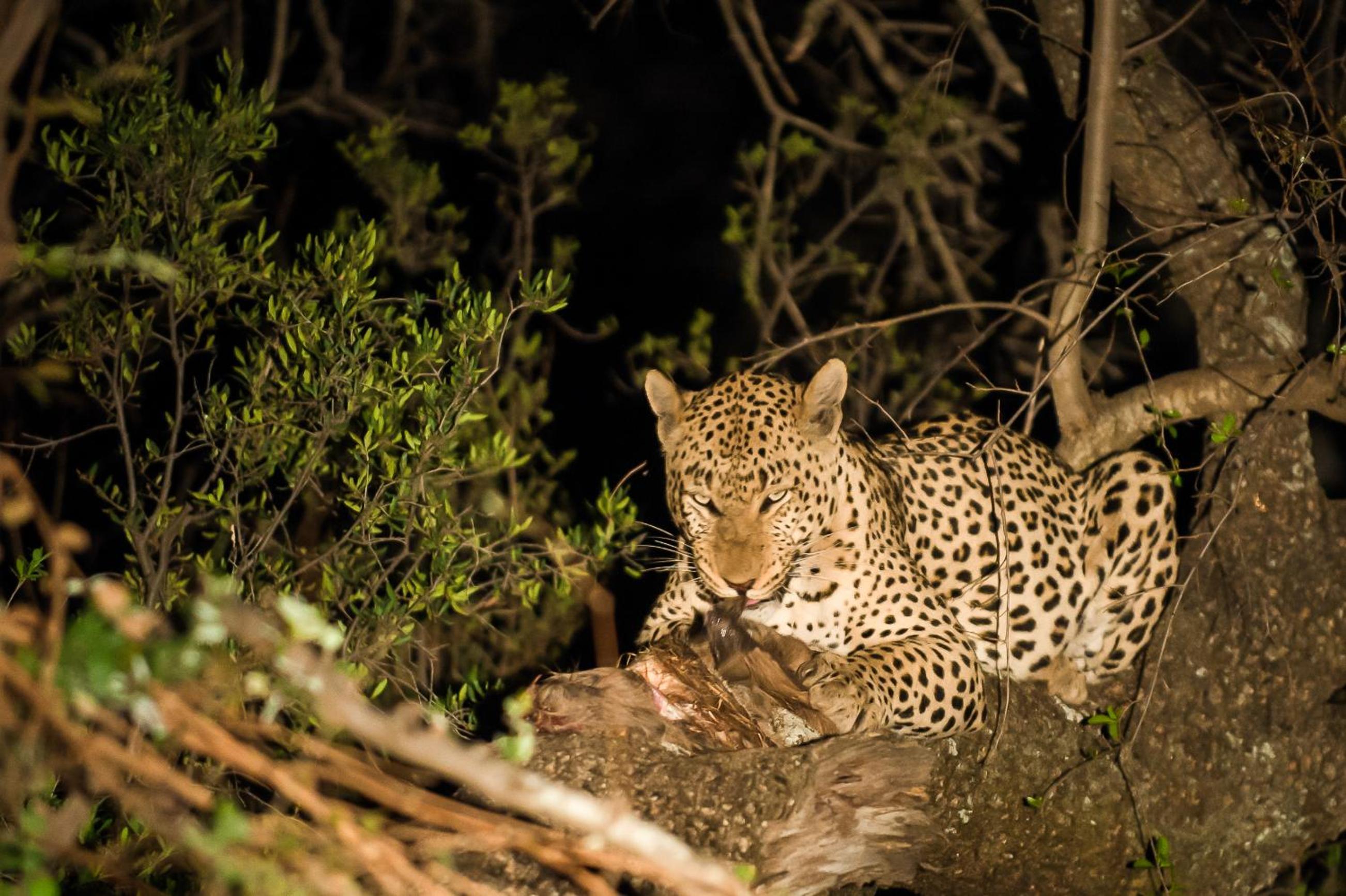 Maninghi Lodge