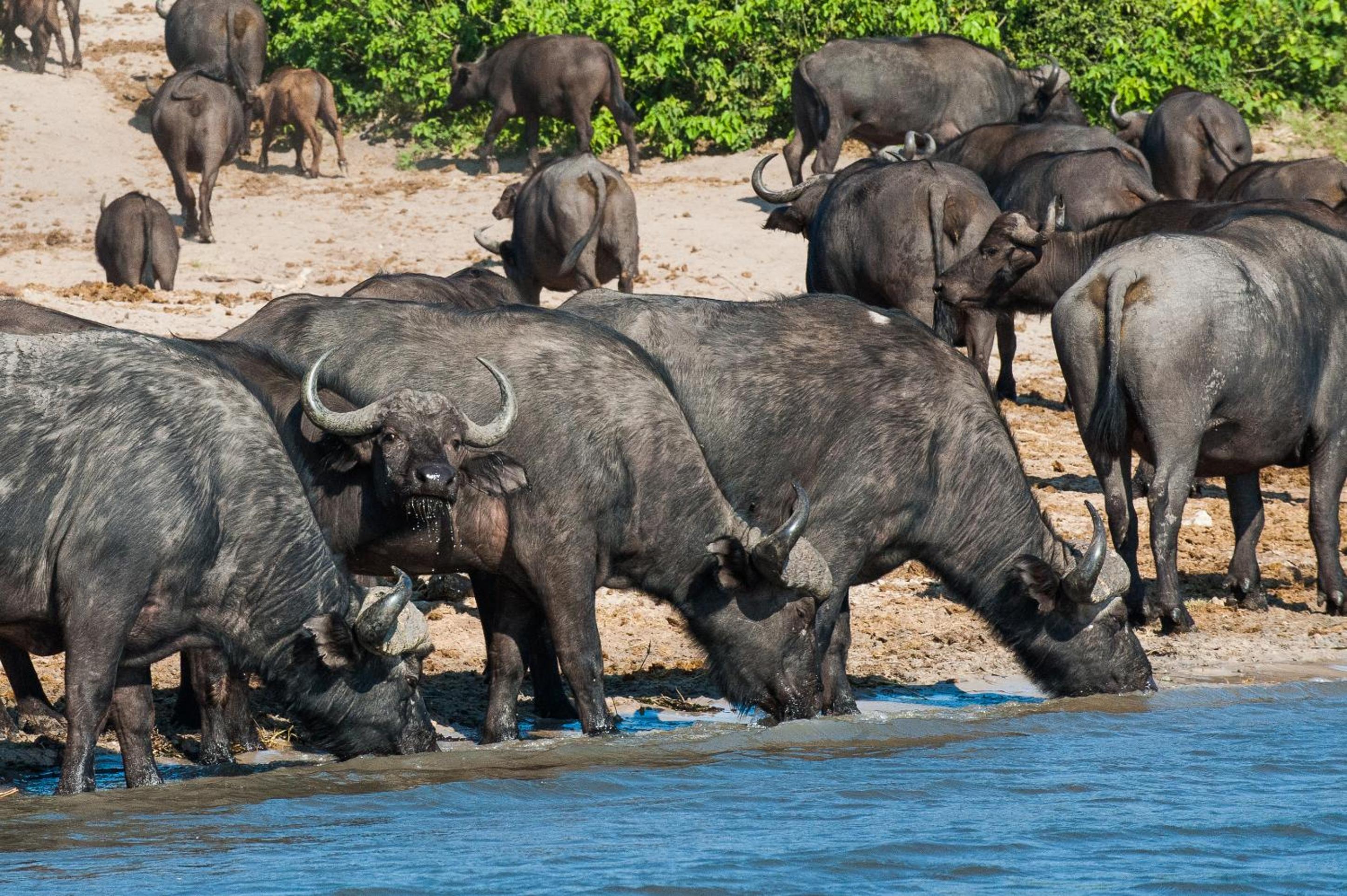Maninghi Lodge