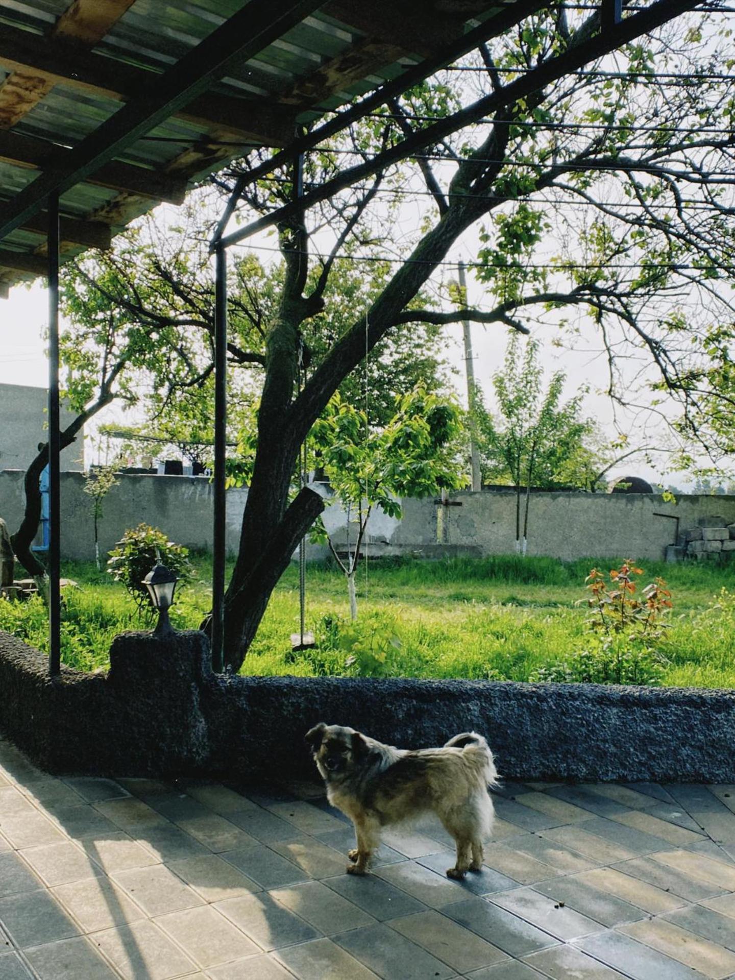 Photo 7